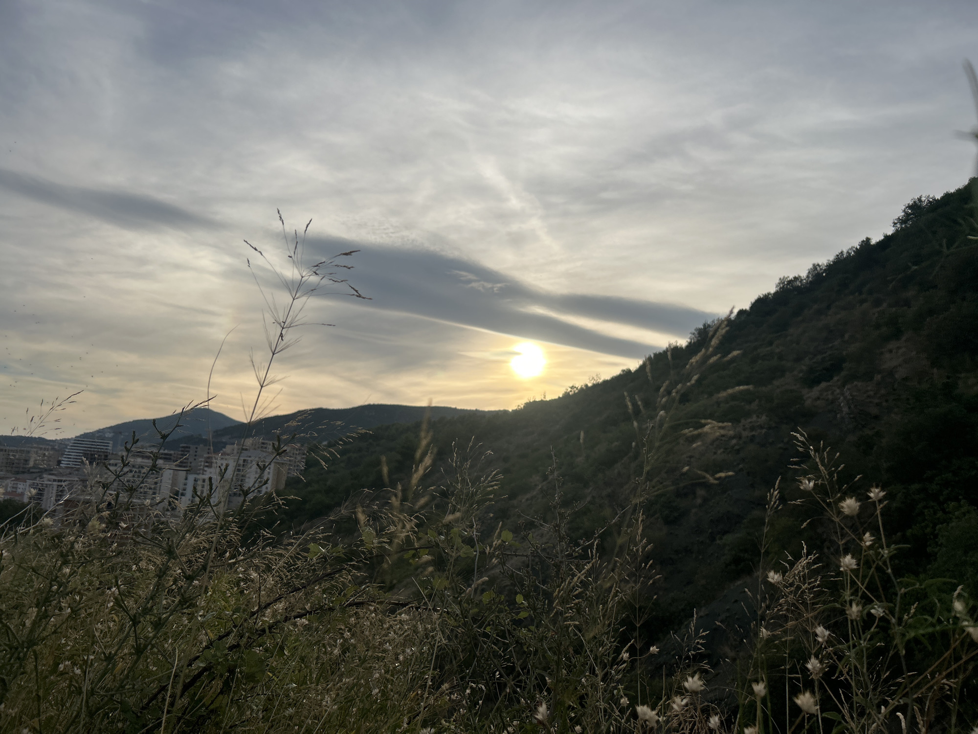 The image depicts a sunset over a coastal town, with a focus on foreground vegetation and a background of hills and buildings. The sun, a bright orb, is positioned slightly left of center in the upper half of the frame, casting a warm glow through a sky filled with wispy, elongated clouds. The light suggests either sunrise or sunset.
To the right, a densely wooded hillside slopes downwards towards the left. The vegetation is a mix of dark green trees and lighter green undergrowth, with some dry grasses and seed heads prominent in the foreground. The foreground is dominated by tall, dry grasses and other wild plants, some with small white flower-like structures, creating a natural, somewhat wild aesthetic.
In the mid-ground to the left, a cluster of buildings is visible, appearing to be part of a town or city situated on the lower slopes of the hills. The architecture suggests a Mediterranean or Balkan style, with multiple stories and light-colored facades. The overall impression is a scenic overlook of a developed area nestled within a natural landscape.
The location is identified as Rafailovići, Montenegro. This context places the scene along the Adriatic coast, a region known for its mountainous terrain meeting the sea, often featuring coastal towns and lush vegetation. The image captures a moment of natural beauty where the urban environment is framed by the landscape and illuminated by the setting sun. There are no people or animals clearly visible in the frame.