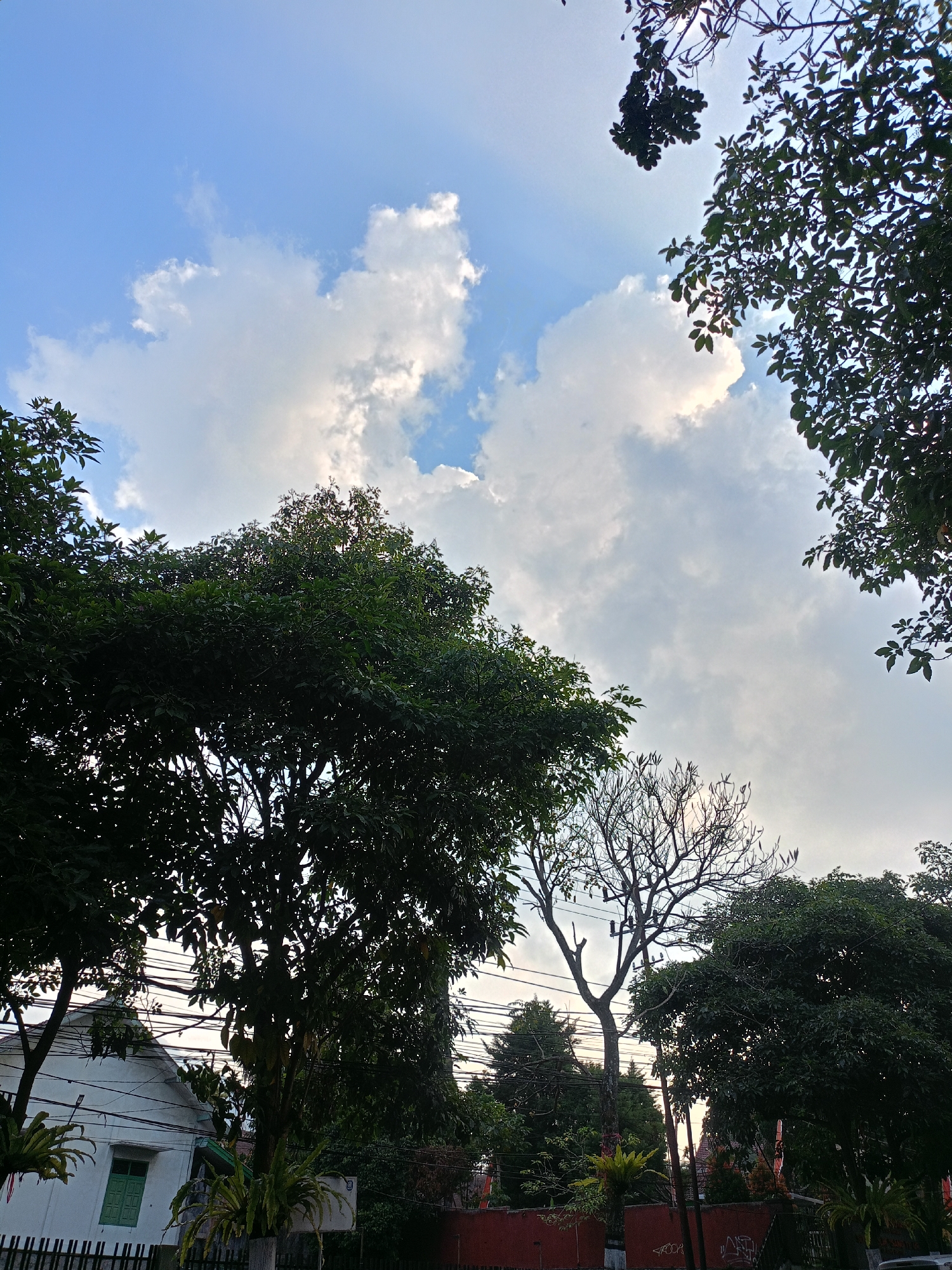 This is a low-angle, outdoor photograph taken in the city of Batu, Indonesia, depicting a scene dominated by trees and a cloudy sky. In the foreground and framing the upper portion of the image are the dark green, leafy branches of large trees, silhouetted against the bright sky. The sky itself is a mix of light blue and soft white clouds, with hints of sunlight breaking through.
Below the trees, a white building with a green-framed window is partially visible on the left, with a dark fence in front of it. Several electrical wires crisscross the scene, running between utility poles. A bare-branched tree stands in the middle ground, its delicate structure contrasting with the fuller foliage of the other trees. The overall impression is of a lush, semi-urban environment during daylight.