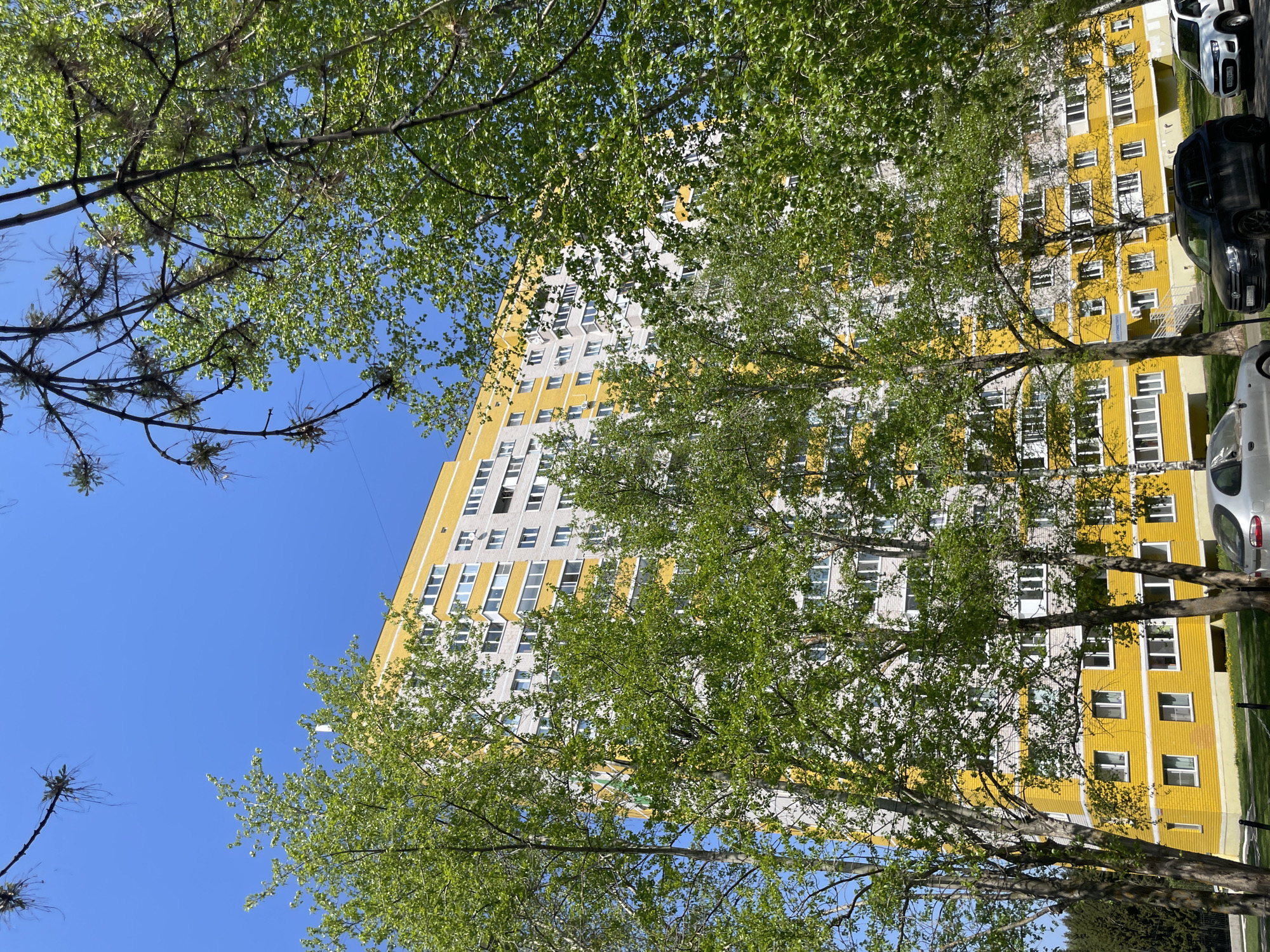 The image depicts a low-angle view of a yellow and white apartment building in Izhevsk, Russia, partially obscured by trees with green leaves. The sky is clear and blue. Parked cars are visible on the right side of the frame, adjacent to the building.