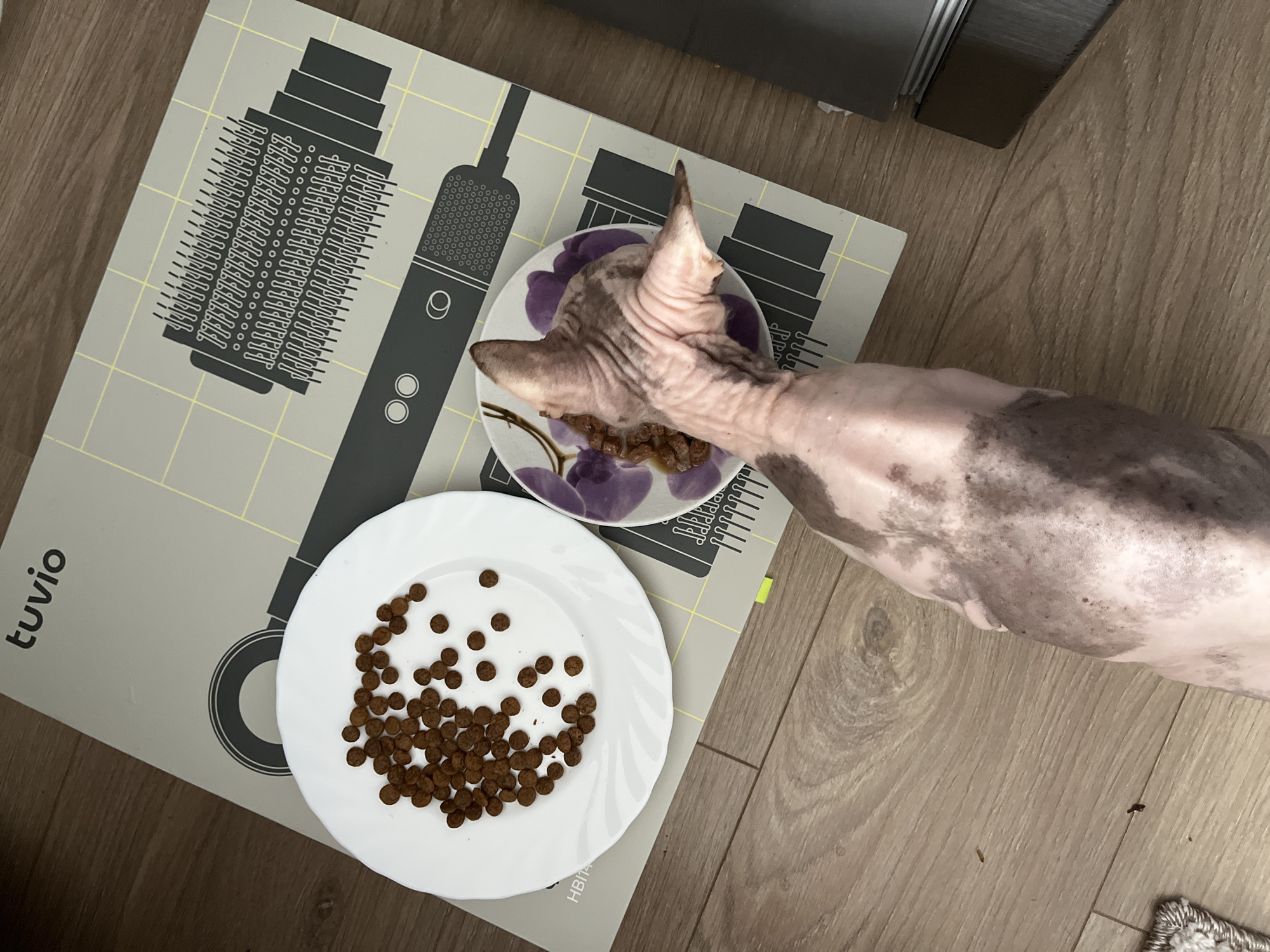 A hairless cat, with mottled pink and grey skin, is positioned with its head lowered towards a small, white plate containing cat food. Beside this plate is another, smaller plate decorated with a purple floral pattern, also filled with cat food. The plates are resting on a light-colored mat that features a graphic illustration of a hair dryer and has grid lines. The mat is situated on a wooden floor. The scene is observed from a top-down perspective. There are no visible humans or other animals. The background suggests an indoor setting. The image does not provide any information that would allow for the identification of its specific location within Yekaterinburg, Russia.