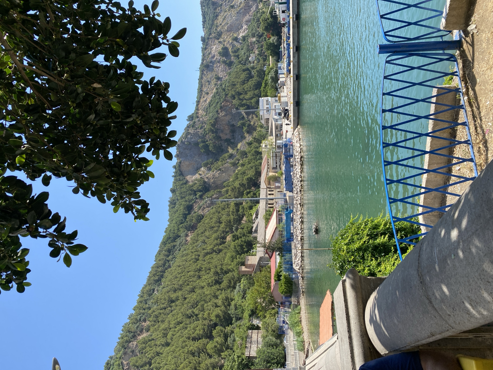 This landscape image captures a vibrant coastal scene in Bejaia, Algeria, under a clear midday sky. The composition is split by a prominent, steep, green-forested mountain that dominates the left side, sloping down towards a calm body of turquoise-green water on the right.
In the foreground, lush green tree branches and leaves extend from the top left corner, partially framing the view. A bright blue sky occupies the upper middle and right portions of the frame. Below the sky, the serene water reflects the bright sunlight, displaying gentle ripples.
Along the base of the mountain and bordering the water, a concrete pier or dock is visible. Several buildings with varied architectural styles, including some with reddish-brown tiled roofs and others with white facades, line the shore. What appear to be small boats or floating platforms are scattered on the water closer to the shoreline structures. Utility poles and power lines traverse the mountain slope.
In the immediate foreground on the right, a distinctive blue metal fence with a diamond lattice pattern runs parallel to the water, suggesting a public walkway or viewing area. Adjacent to the fence is a large, grey concrete structure, possibly part of a balustrade or pillar, which bears shadows from overhead foliage, reinforcing the sunny conditions. A small, vibrant green bush is nestled behind the concrete structure and fence. Part of a person's leg, clad in blue fabric, is minimally visible at the very bottom right, indicating the perspective of the photographer.
The scene conveys a tranquil, sunny day at a harbor or bay, blending natural beauty with human development along the coast. No specific event or activity is underway, and there is no visible text.