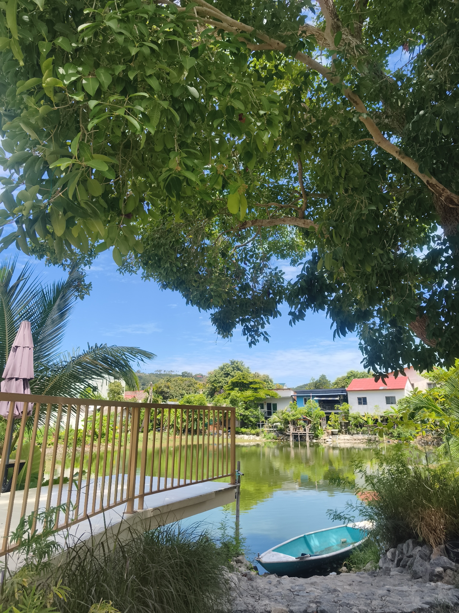 This is a photograph of a tranquil waterside scene in the Koh Samui District of Thailand. The image is dominated by lush green foliage from a large tree overhead, casting dappled shadows. In the foreground, a beige metal railing borders a paved area overlooking a calm, reflective body of water. A pale blue rowboat is partially submerged at the edge of the water, nestled amongst rocks and grass. Across the water, several houses with white and red roofs are visible, surrounded by dense tropical vegetation. The sky above is a bright, clear blue with a few wispy clouds. The overall impression is one of peaceful, tropical living.