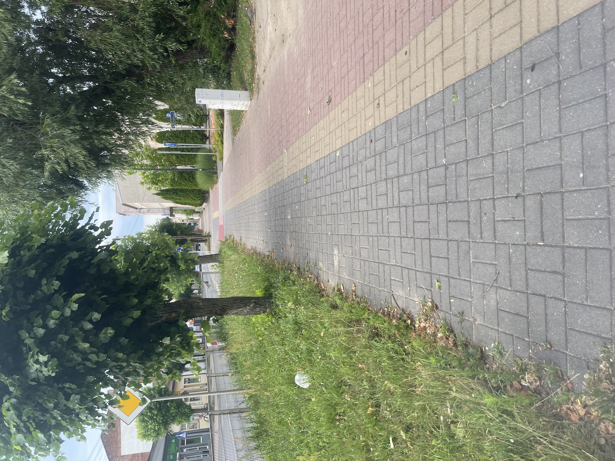 The image depicts a sidewalk in Konstantynów Łódzki, Poland, lined with trees and buildings. The sidewalk is paved with interlocking grey bricks and has a textured yellow and red strip along its edge. To the left of the sidewalk is a grassy area with some weeds and a plastic bag. Beyond the grass, a metal fence separates the sidewalk from a street with cars and buildings, including shops. To the right of the sidewalk, there are more trees, bushes, and a white utility box. In the distance, a crosswalk is visible. The sky is overcast.