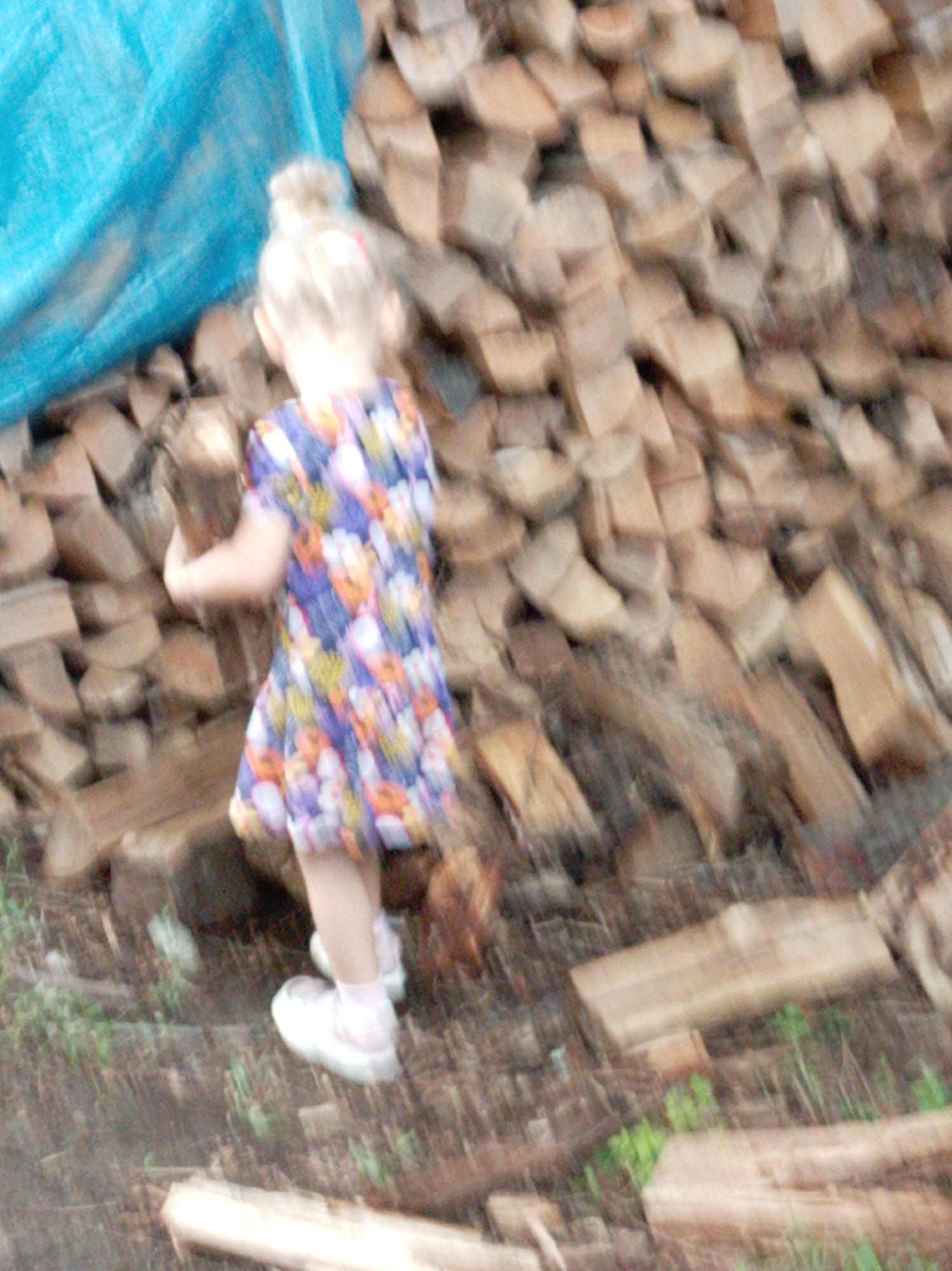 The image depicts a young child, appearing to be a girl with blonde hair tied in a bun and wearing a colorful floral dress, standing next to a large pile of cut firewood. The child is holding a piece of wood. The firewood is stacked against a blue tarp or plastic sheeting. The ground is covered with dirt and some sparse green vegetation. The scene appears to be outdoors, likely in a rural or semi-rural setting. There are no identifiable landmarks or specific details that would allow for precise localization within the city of Artyom, Russia. The image is of low resolution and appears to be motion-blurred, making detailed facial features or background elements indistinguishable.
