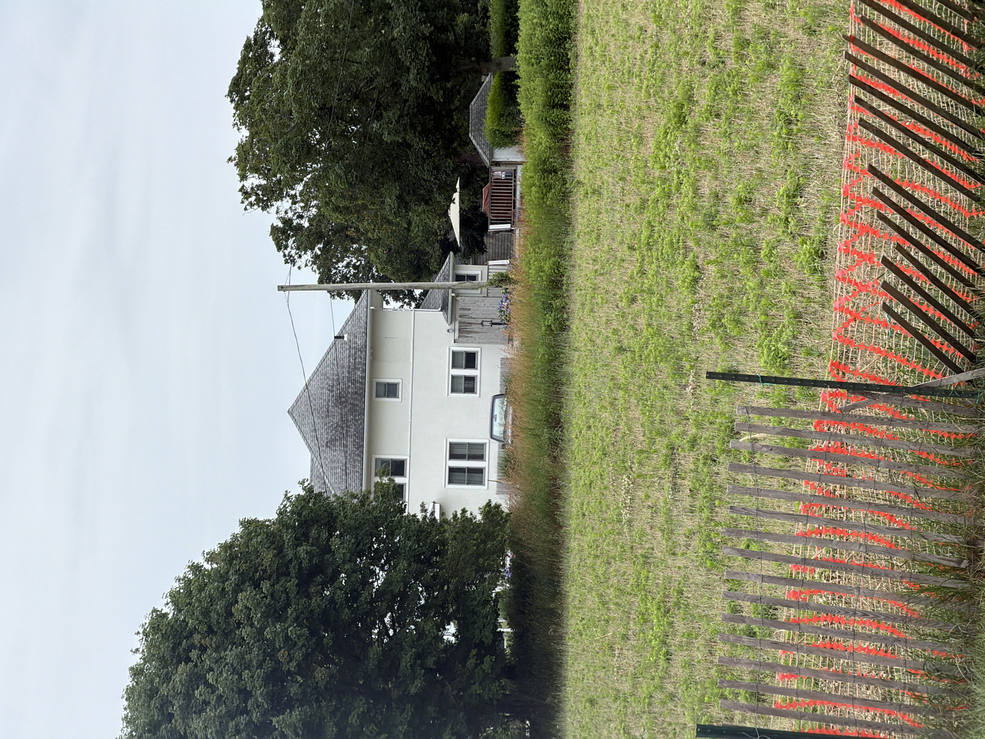 The media file displays an outdoor scene, likely in Mattituck, USA, on an overcast day. The primary subjects include a two-story house with a grey shingled roof and light-colored siding, featuring multiple windows. Adjacent to the house are mature trees, one of which is prominent in the foreground, with dense green foliage. To the right of the house, a grassy field stretches towards a fence. This fence is constructed of wooden slats and is partially covered with orange mesh netting, giving it a striped appearance.
In the background, behind the main house, a smaller structure with a peaked roof and a wooden deck is visible, partially obscured by trees and bushes. A white umbrella can be seen on the deck. A light-colored car is parked near the house, facing away from the viewer.
The scene appears to be a residential property, possibly near a rural or semi-rural area given the expanse of the field. The overcast sky suggests it is either early morning, late afternoon, or a generally cloudy day, and the overall mood is calm and uneventful. There is no discernible activity taking place. No visible text is present in the image.