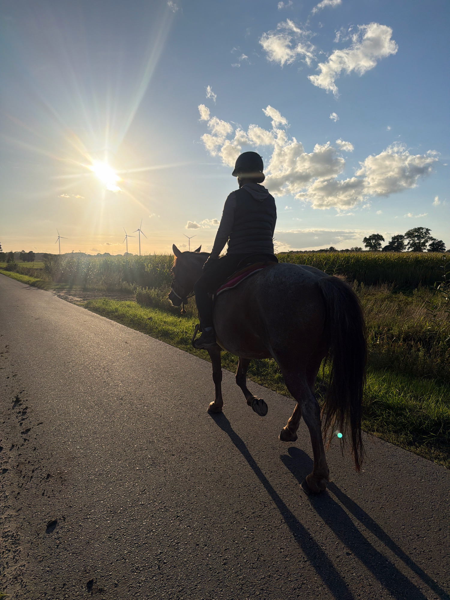 The image depicts a person riding a horse along a paved path during sunset. The sun is low in the sky, casting long shadows and creating a golden glow. The rider, wearing a helmet and a vest, is silhouetted against the bright sky. The horse is a light brown color and appears to be in motion. In the background, there are wind turbines, fields of crops, and trees. The scene suggests a rural setting, potentially in Kutenholz, Germany, given the presence of wind turbines which are common in the region. The overall atmosphere is peaceful and serene.