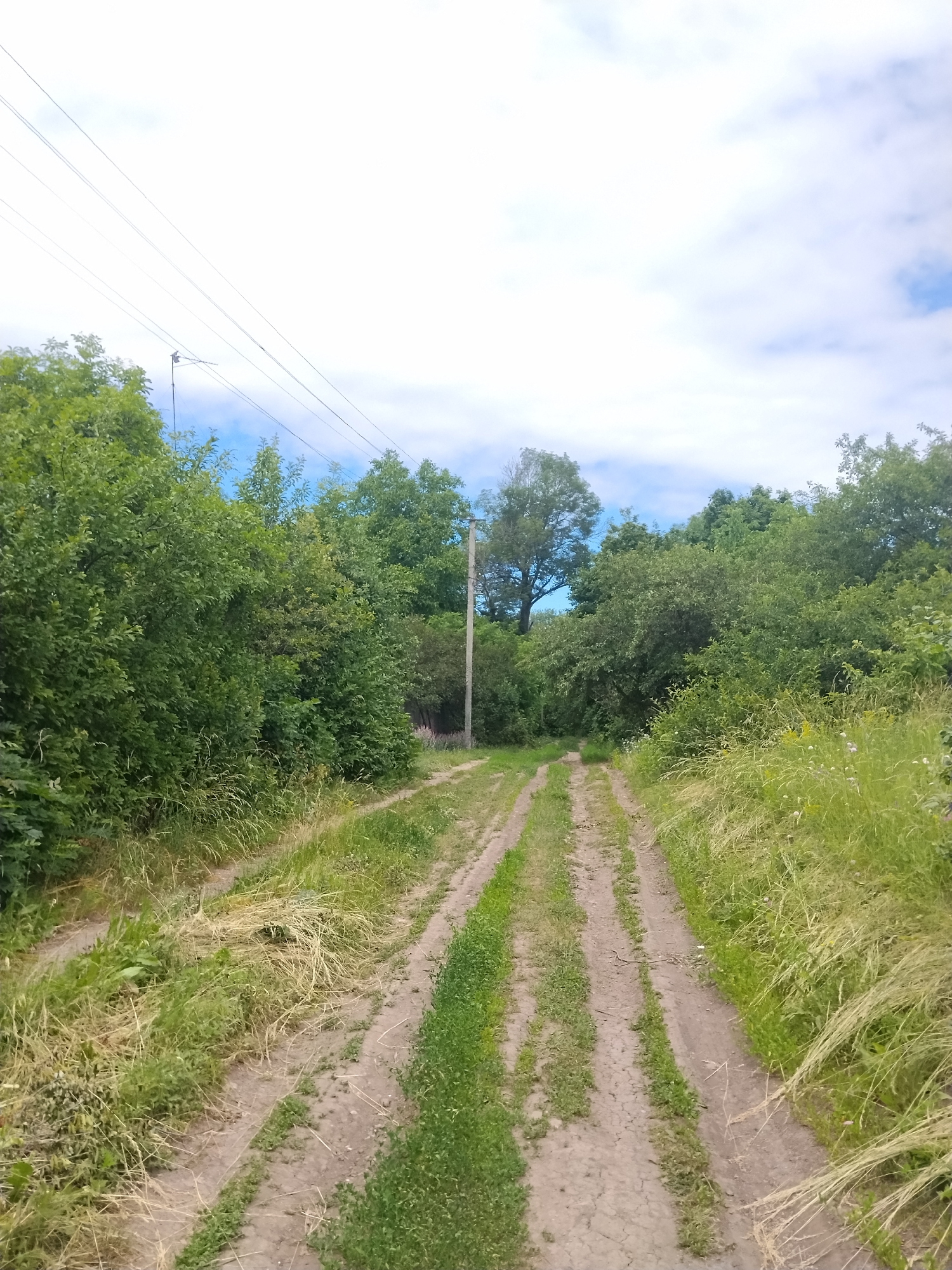 This media file captures a view of a dirt road winding through a lush, green landscape under a partly cloudy sky. The road is marked by two distinct tire tracks, suggesting recent use by a vehicle.
The scene is dominated by abundant foliage, with dense green trees and bushes lining both sides of the road. Tall grasses and other vegetation grow along the edges, with some dry, wispy grasses to the right. A single utility pole stands on the right side of the road, with several power lines stretching across the top portion of the image, connecting to another unseen pole or structure.
The overall impression is one of a rural or natural setting, possibly during the daytime given the brightness of the sky and the clear visibility of the landscape. The sky features a mix of white clouds and patches of blue, indicating potentially variable weather. There is no visible text within the image. The scene evokes a sense of quietude and natural beauty, with no people or specific activities apparent.