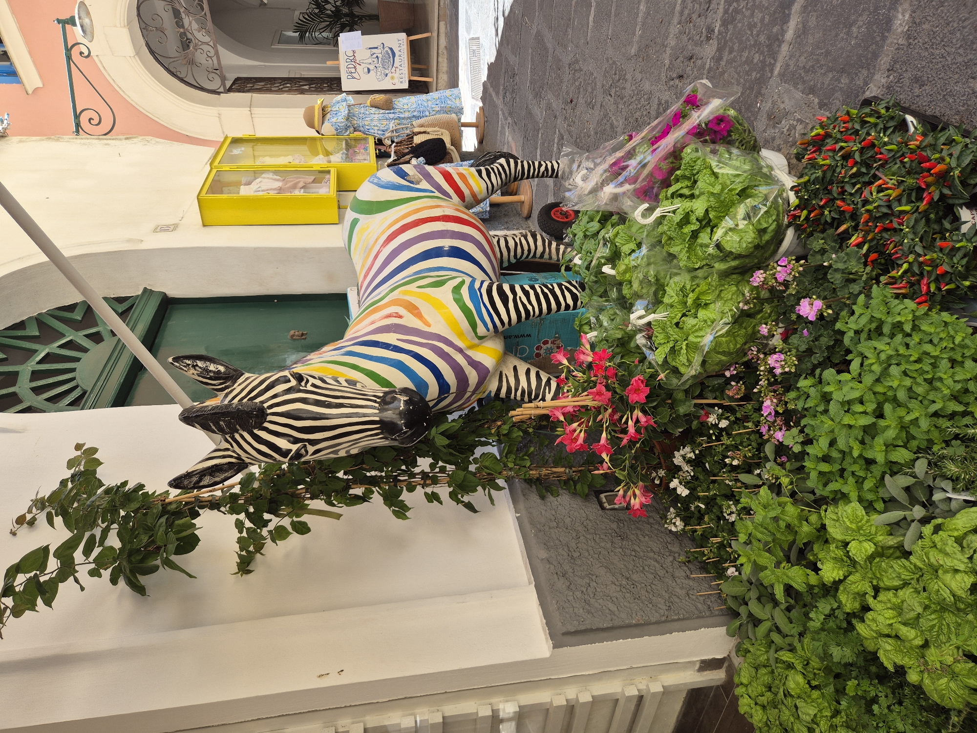 In the city of Unknown, Unknown, a colorful zebra statue stands prominently in front of a building with white walls and a green door. The zebra is painted with rainbow stripes. To the right of the zebra, a woman in a blue dress and a straw hat stands near a yellow display cabinet. In the foreground, an assortment of plants, including leafy greens, flowering plants, and small chili peppers, are arranged for sale on a cobblestone street. A sign for "PEDRO'S RESTAURANT WINE & COCKTAIL BAR" is visible further down the street.