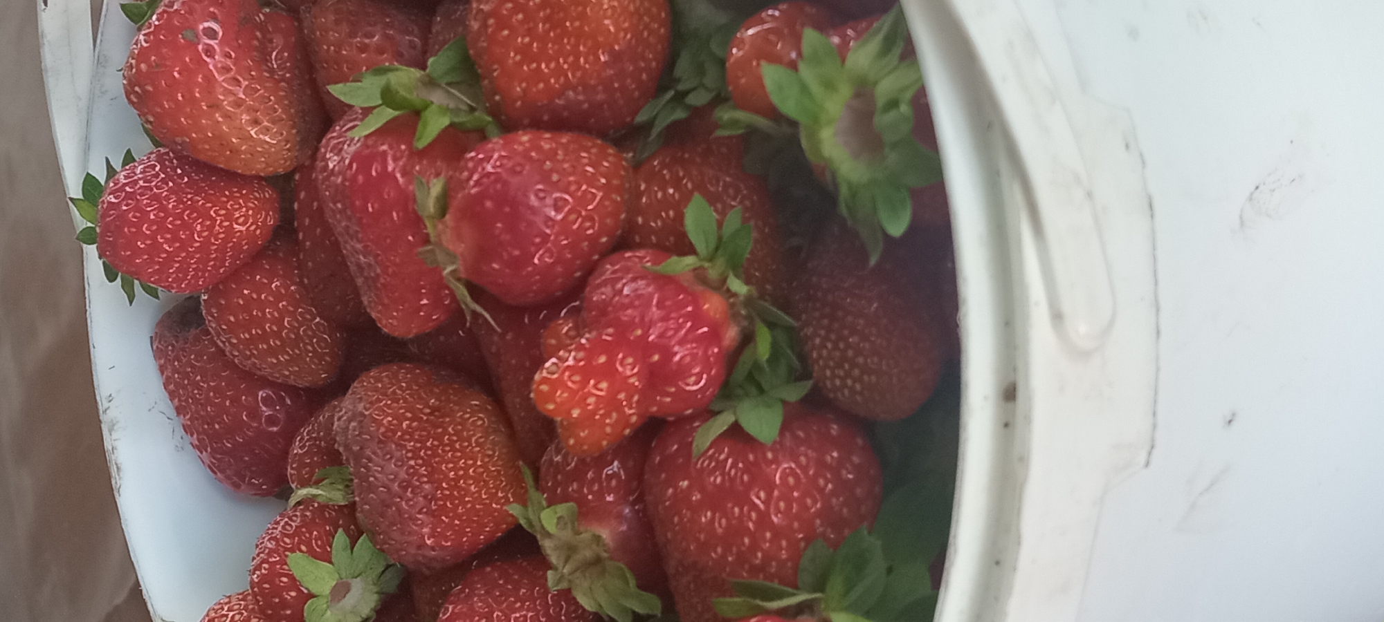 A close-up, high-angle, vertical shot captures a large quantity of fresh, red strawberries packed tightly in a white bucket. The strawberries are plump and appear ripe, with visible seeds and green stems. Some strawberries are partially obscured by others. The background consists of a brown, textured surface, likely a table, and the interior of the bucket is white with some visible wear and tear along the rim. The scene is set in the city of Kovihiy, Ukraine.
