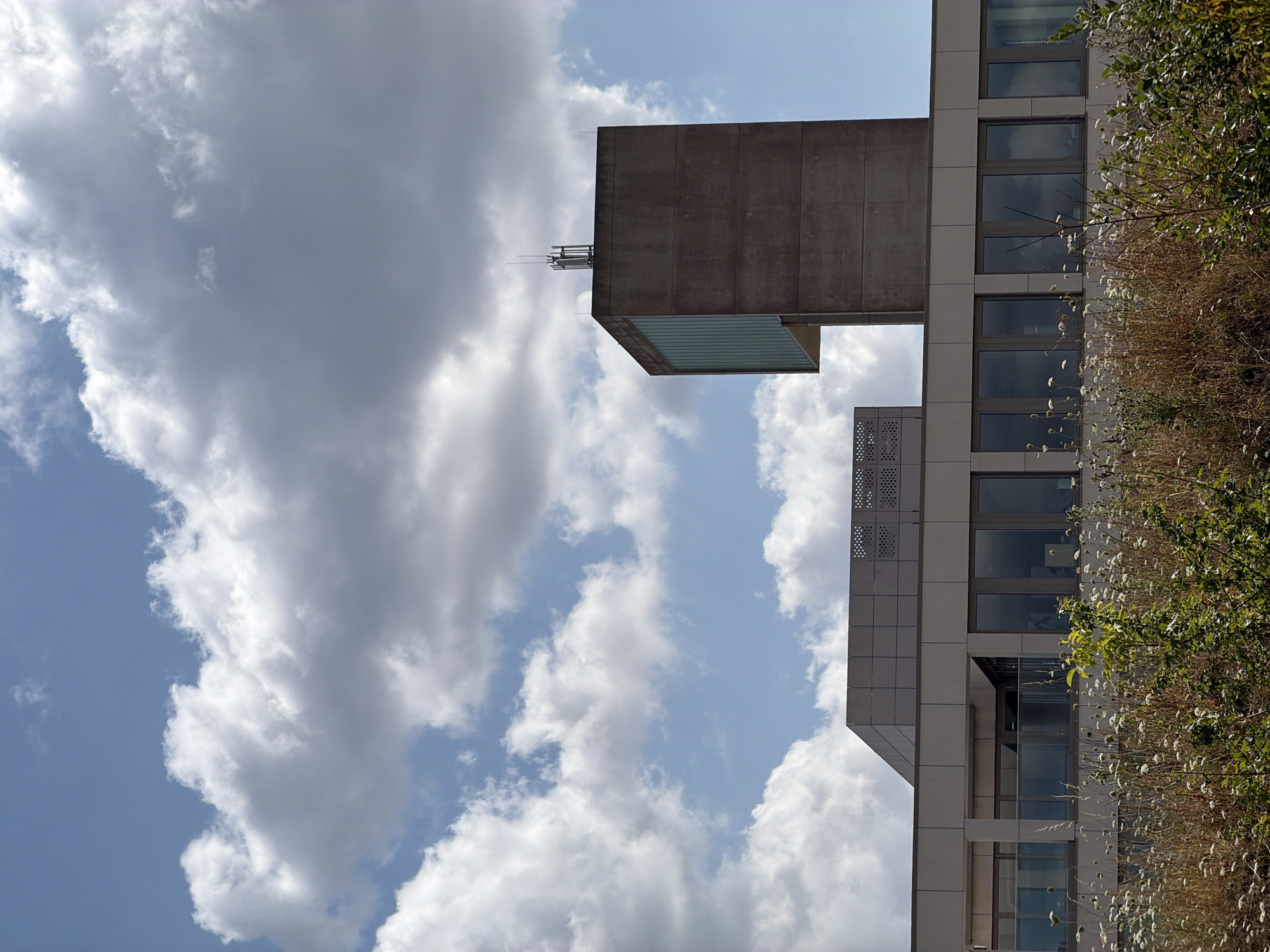 The image depicts a modern building in Leudelange, Luxembourg, set against a partially cloudy sky. The building features a flat roof and a distinctive tower-like structure on its right side, which is made of concrete and has a teal-tinted glass facade on one side. The tower is topped with antennas. To the left of the tower, a lower section of the building is visible, characterized by a long row of large windows and a horizontal facade with square perforations. In the foreground, overgrown vegetation, including tall grasses and white flowers, covers the ground, suggesting a natural or semi-natural landscape bordering the urban structure. The lighting indicates it is daytime, with the sun casting shadows and illuminating the clouds. There are no people or animals visible in the scene.