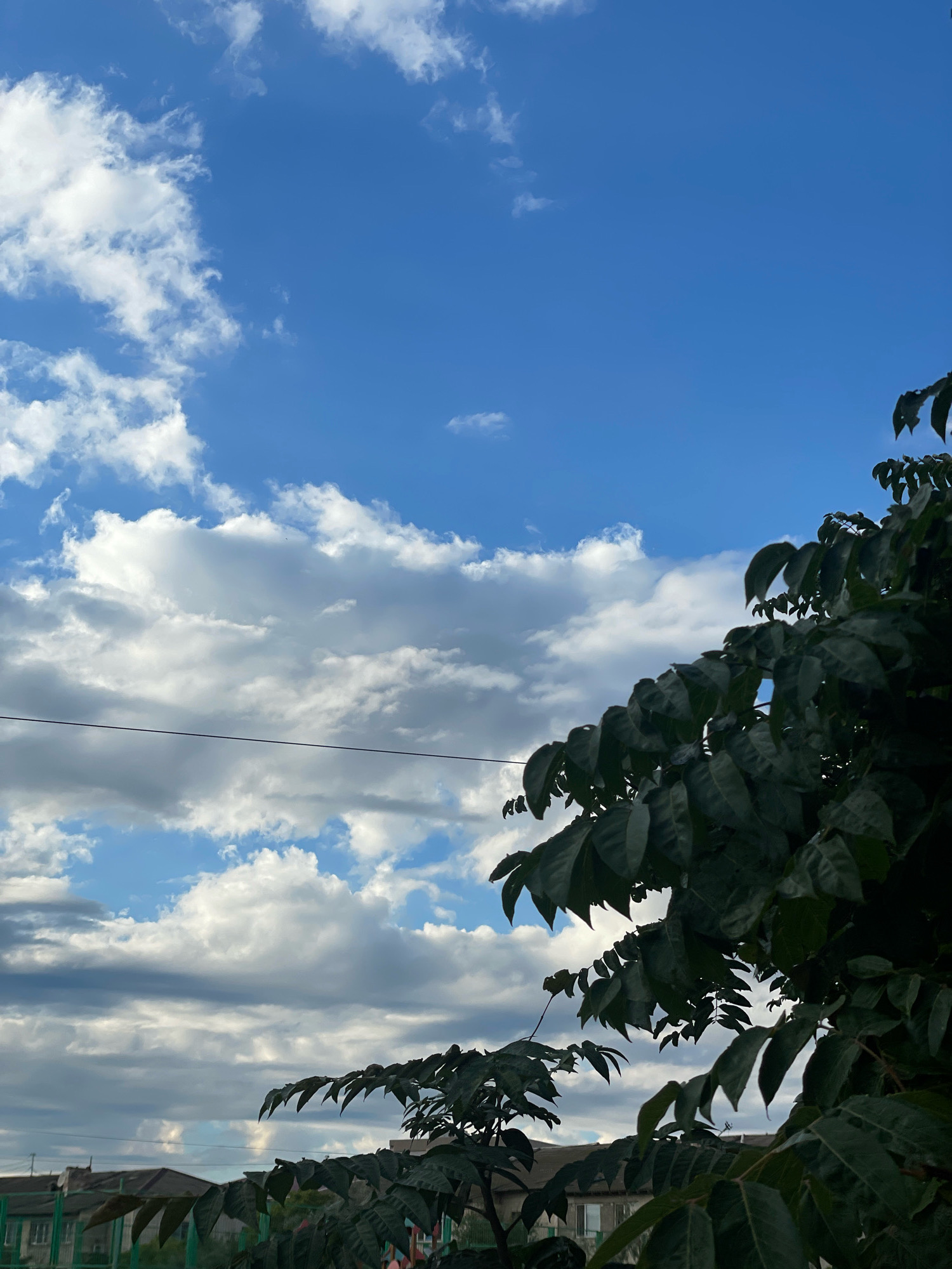 The image depicts a partially cloudy sky over a city environment. In the foreground, dark green foliage from trees extends into the frame from the right and bottom, partially obscuring the view of the sky and the structures below. The sky is a vibrant blue, with scattered white and gray clouds. A thin black wire stretches horizontally across the middle of the frame against the sky. In the background, low-rise buildings with roofs and some fencing are visible. The scene appears to be an outdoor urban or suburban setting. There are no people or animals visible in the image. The lighting suggests it could be daytime, possibly late afternoon given the cloud formations. It is not possible to specifically identify the location as Aktau, Kazakhstan based on the visual information alone.