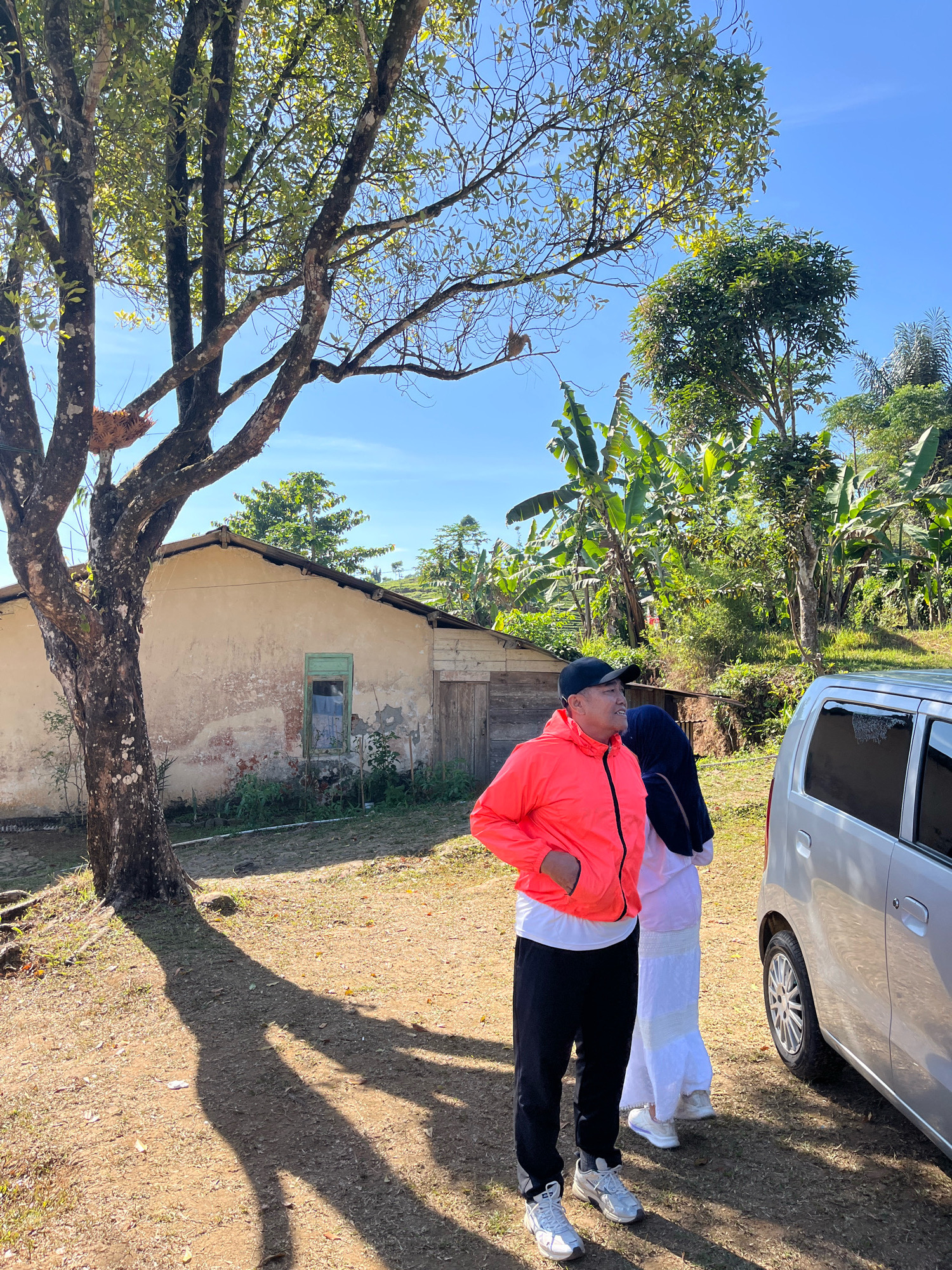 In the city of Tomblo, Indonesia, under a clear blue sky, two individuals stand beside a silver car parked on a dirt and gravel lot. A large tree with weathered bark and sparse green leaves dominates the left side of the frame, casting a long shadow across the ground. To the right of the tree is a dilapidated, beige building with a brown wooden door and a small, green-framed window. Behind the building and to the right, lush green vegetation, including banana trees, covers the landscape.
The person on the left, a male, wears a bright orange zip-up jacket over a white t-shirt, black sweatpants, and white athletic shoes. He has a black baseball cap on and is looking to his right. Next to him stands a female wearing a dark hijab and a long white skirt, also looking to her right. The silver car, a compact hatchback, is positioned on the right side of the image, its passenger door slightly ajar. The overall impression is a rural setting, possibly a roadside stop or a visit to a remote dwelling.