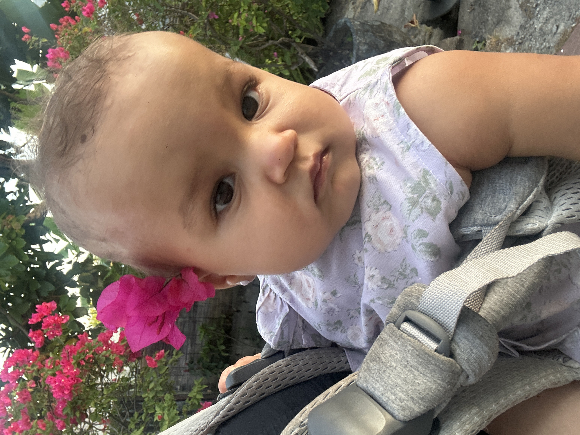 A close-up captures a baby with fair skin and brown eyes in North Kuta, Indonesia. The baby is secured in a gray carrier and wears a light lavender dress with a floral pattern. A bright pink flower is tucked behind the baby's ear. In the background, pink bougainvillea flowers and green foliage are visible. Part of a gray rock or stone surface is also noticeable. The image has a slightly rotated perspective, with the baby's face as the focal point.