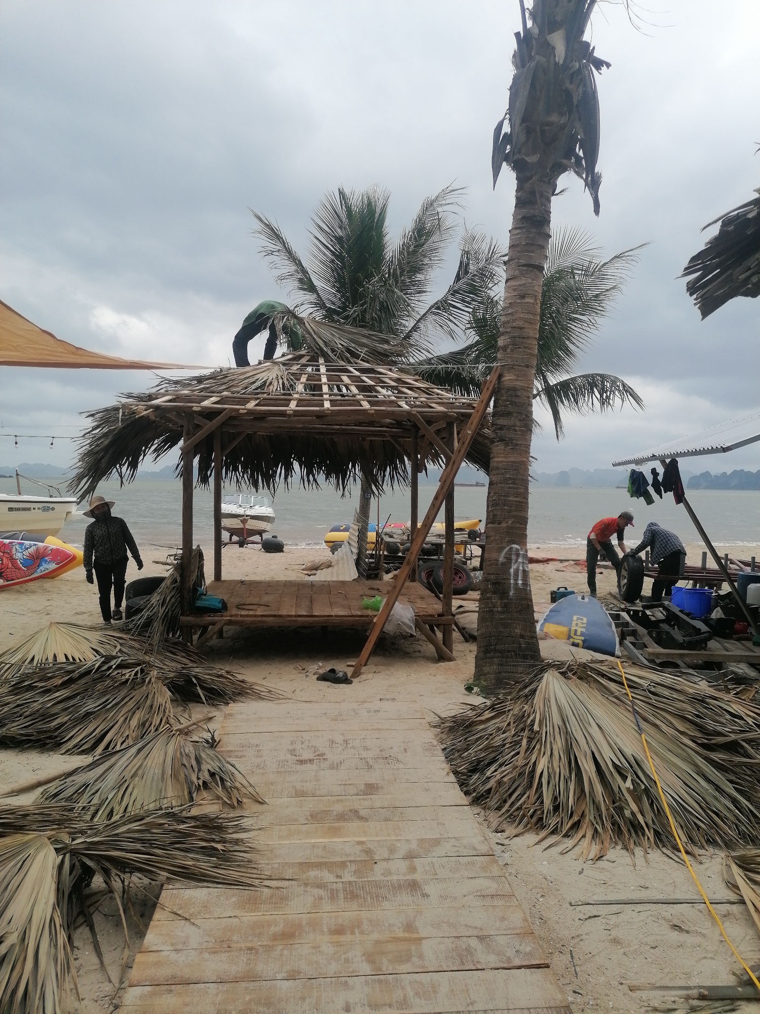 This image captures a busy scene on a sandy beach, likely in Bai Chay Ward, Vietnam, given the characteristic limestone karsts visible in the distant waters. The sky is overcast, suggesting a cloudy day.
In the center, a wooden, open-sided gazebo-like structure with a partially thatched roof made from dried palm fronds is the focal point. A person dressed in a green shirt and dark pants is actively working on the roof, bending over the thatch. A wooden pathway extends from the foreground up to this structure. Piles of dried palm fronds are scattered on the sand around the pathway and the gazebo, presumably materials for the roofing.
Several other individuals are engaged in activities across the beach. To the left of the gazebo, a person wearing a patterned long-sleeved shirt and a wide-brimmed straw hat walks towards the viewer, past two colorful paddleboards or kayaks. Near the water's edge on the right, two men are tending to equipment under a makeshift shelter. One man in an orange shirt is handling a large tire, while another in a blue plaid shirt is beside him. Clothes are hanging to dry from a line under this shelter.
Numerous objects are visible, including several small motorboats pulled ashore, more paddleboards, and various tools and supplies scattered on the sand, such as blue containers and bags. A large, dark blue bag with "OFFORD" possibly visible in white text is near the two men on the right. Two prominent palm trees stand on either side of the scene; the one on the right appears to have many old, dry fronds or a rough trunk texture. The scene depicts ongoing construction or maintenance activities on a waterfront establishment.