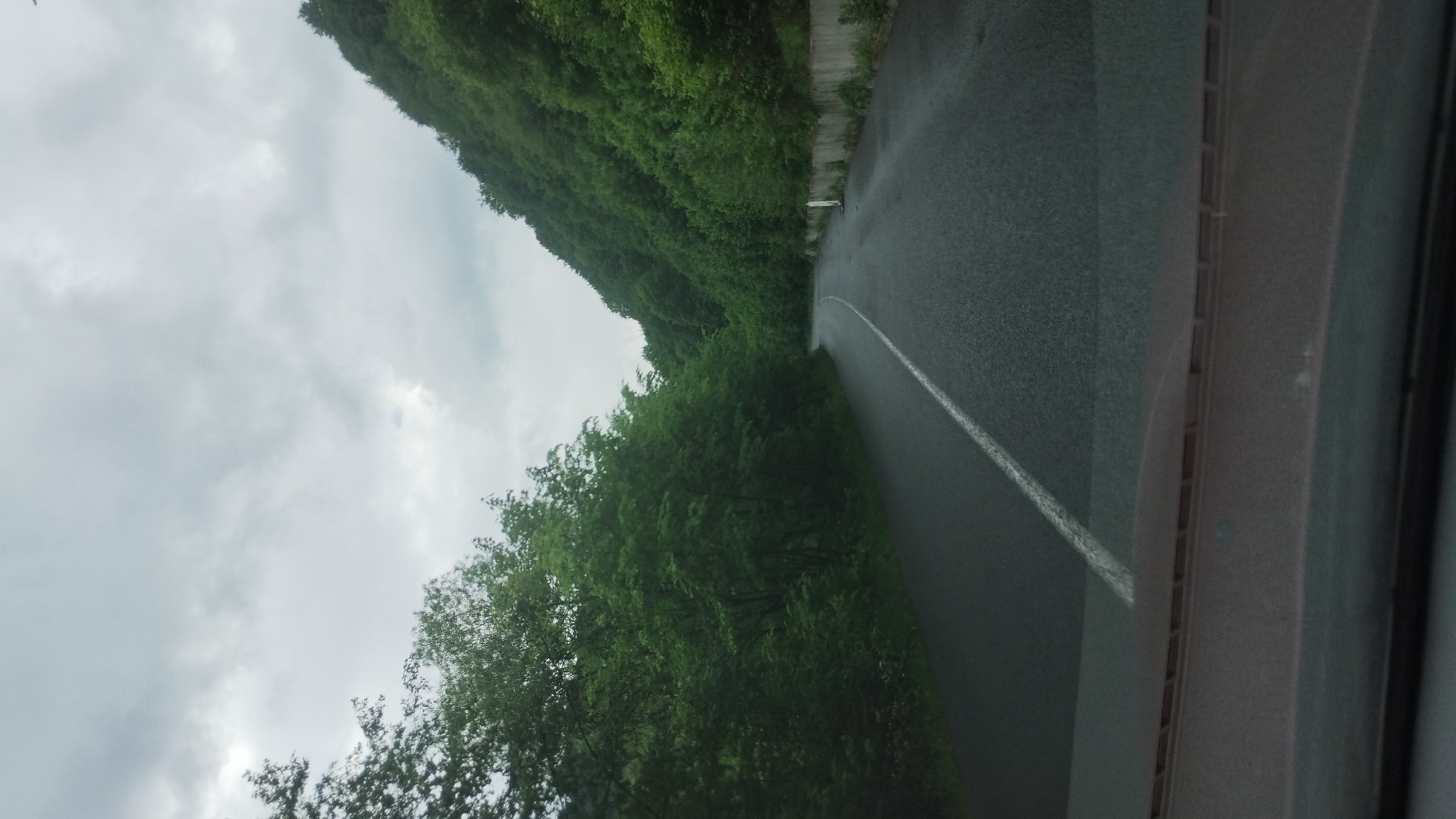 The image shows a perspective from inside a vehicle looking out at a winding road bordered by dense green trees and foliage. The road appears wet, suggesting it has recently rained or is currently raining, and a white line marks its edge. The sky is overcast and cloudy, with a generally muted light, indicating it is likely daytime, but not necessarily sunny. On the left side of the road, a steep, tree-covered hillside rises up, creating a dramatic natural backdrop. The right side of the frame shows a portion of the vehicle's interior, including a textured trim that runs along the edge of the window. There is no text visible in the image. The overall impression is of a scenic drive through a lush, possibly mountainous or hilly, landscape on a day with inclement weather.