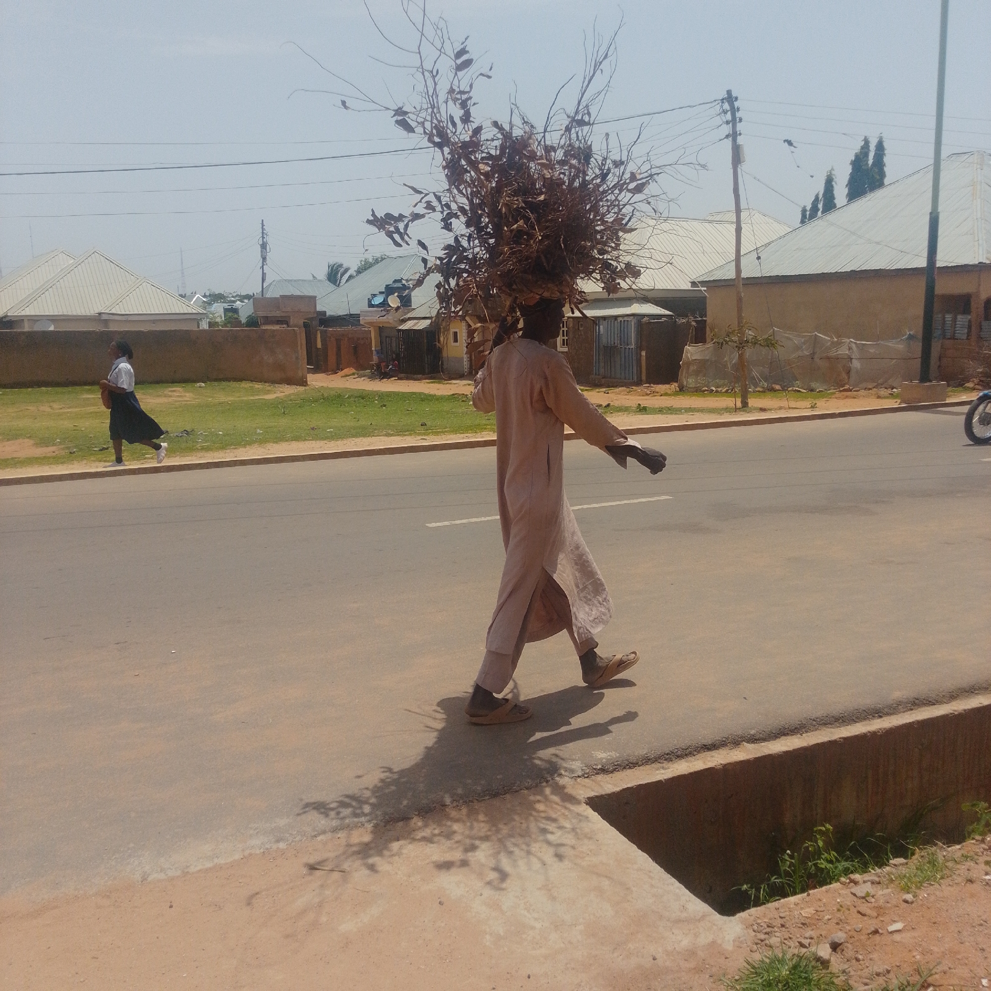 In Gombe, Nigeria, a person walks down a paved road carrying a large bundle of dry branches and leaves on their head. The subject is wearing a long, light-colored robe and sandals. To the left of the frame, another person, appearing to be a young woman in a school uniform of a white shirt and dark skirt, is running. The road is bordered by a grassy area and some buildings in the background, which appear to be homes and possibly some shops. The sky is clear, suggesting a sunny day. The overall impression is one of daily life in a Nigerian town, with individuals engaged in activities such as collecting resources or commuting. The lighting indicates it is likely daytime, possibly late morning or early afternoon.