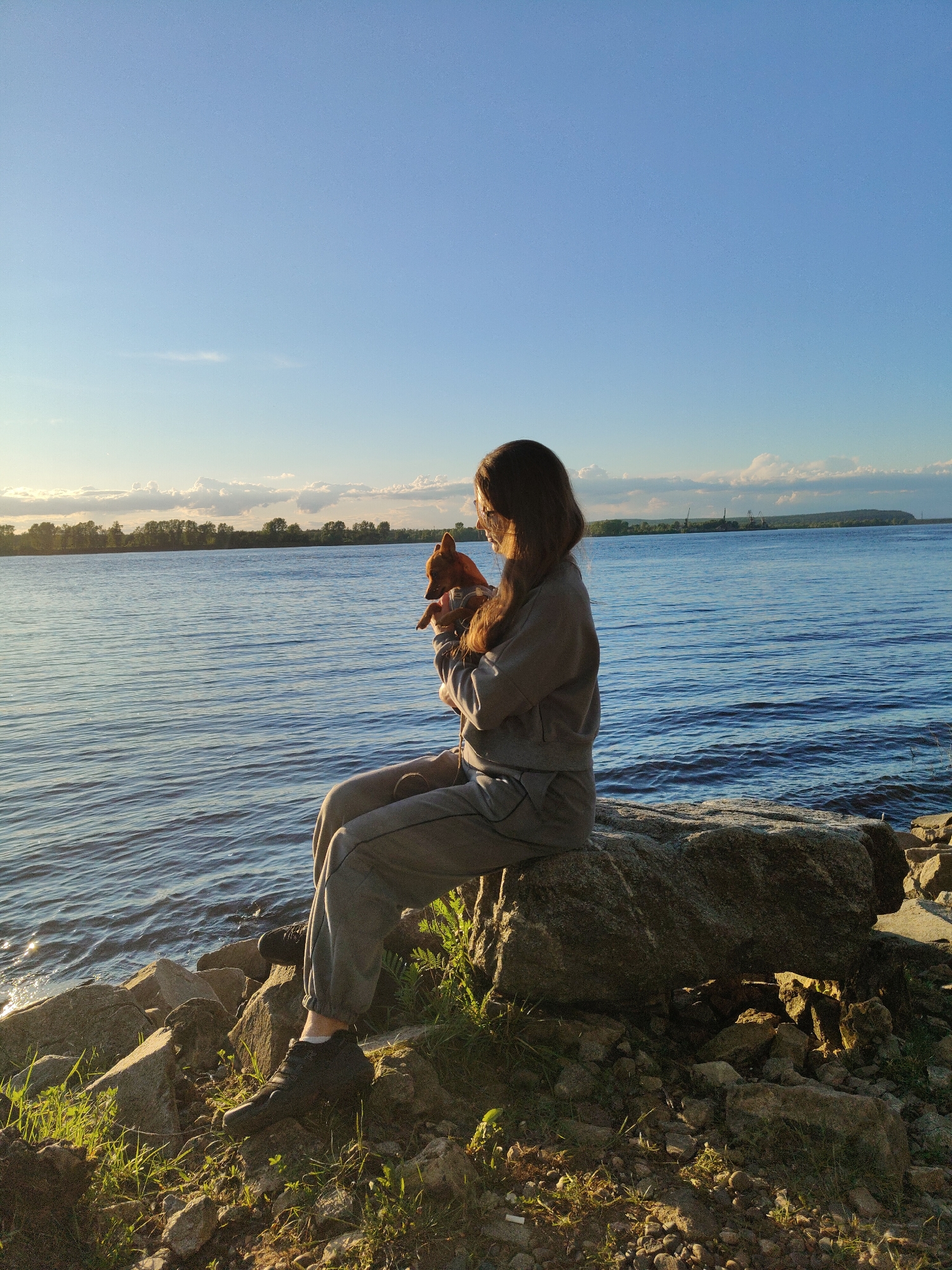 The image portrays a serene outdoor scene featuring a young woman and a small dog by a large body of water during the golden hour. The woman, with long dark hair, is seated on a large, flat gray rock at the water's edge. She is wearing a casual gray tracksuit (sweatshirt and sweatpants) and dark sneakers with white socks. In her arms, she cradles a small, reddish-brown dog, possibly a Chihuahua or similar toy breed. Both are looking out towards the expansive body of water, suggesting a moment of quiet contemplation or enjoyment of the view.
The setting appears to be the bank of a wide river or a large lake. The immediate foreground consists of a rocky shoreline interspersed with patches of vibrant green grass and other low vegetation, illuminated by the warm, low sunlight. The water itself is calm with gentle ripples, catching the golden light and creating sparkling reflections.
Across the water, the distant horizon features a discernible line of trees and what appear to be some industrial structures, possibly cranes, suggesting a blend of natural scenery with a touch of human development. The sky above is mostly clear and a bright blue, fading to a lighter hue near the horizon, with several soft white clouds clustered along the distant tree line.
The time of day is clearly late afternoon or early evening, characterized by the warm, directional sunlight, often referred to as the golden hour, which casts long shadows and bathes the scene in a soft, inviting glow. The weather appears clear and pleasant. The overall mood conveyed is peaceful and tranquil, highlighting the companionship between the woman and her dog. There is no visible text in the image.