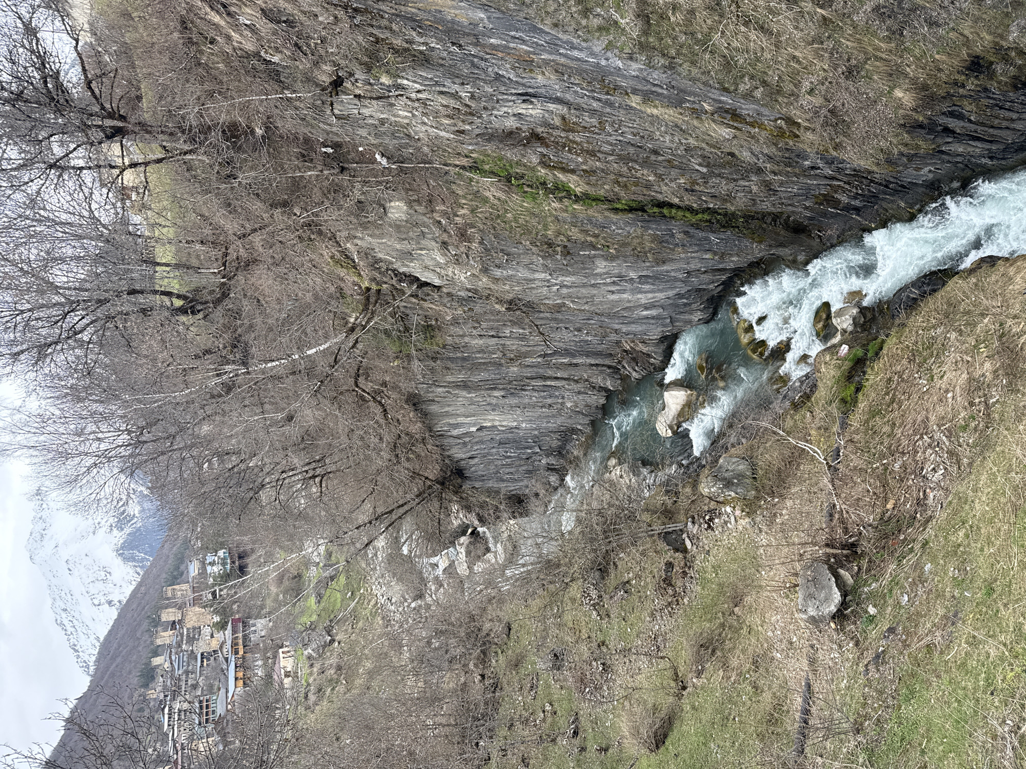 The image depicts a fast-flowing river cutting through a steep, rocky gorge. The river appears clear and turbulent, with white water over rocks. The gorge is composed of layered rock formations. Sparse vegetation, including bare trees and dry grasses, clings to the sides of the gorge. A small village is visible at the foot of a snow-capped mountain in the distance. The overall scene suggests a rugged, mountainous landscape. The location is likely near Mestia, Georgia.