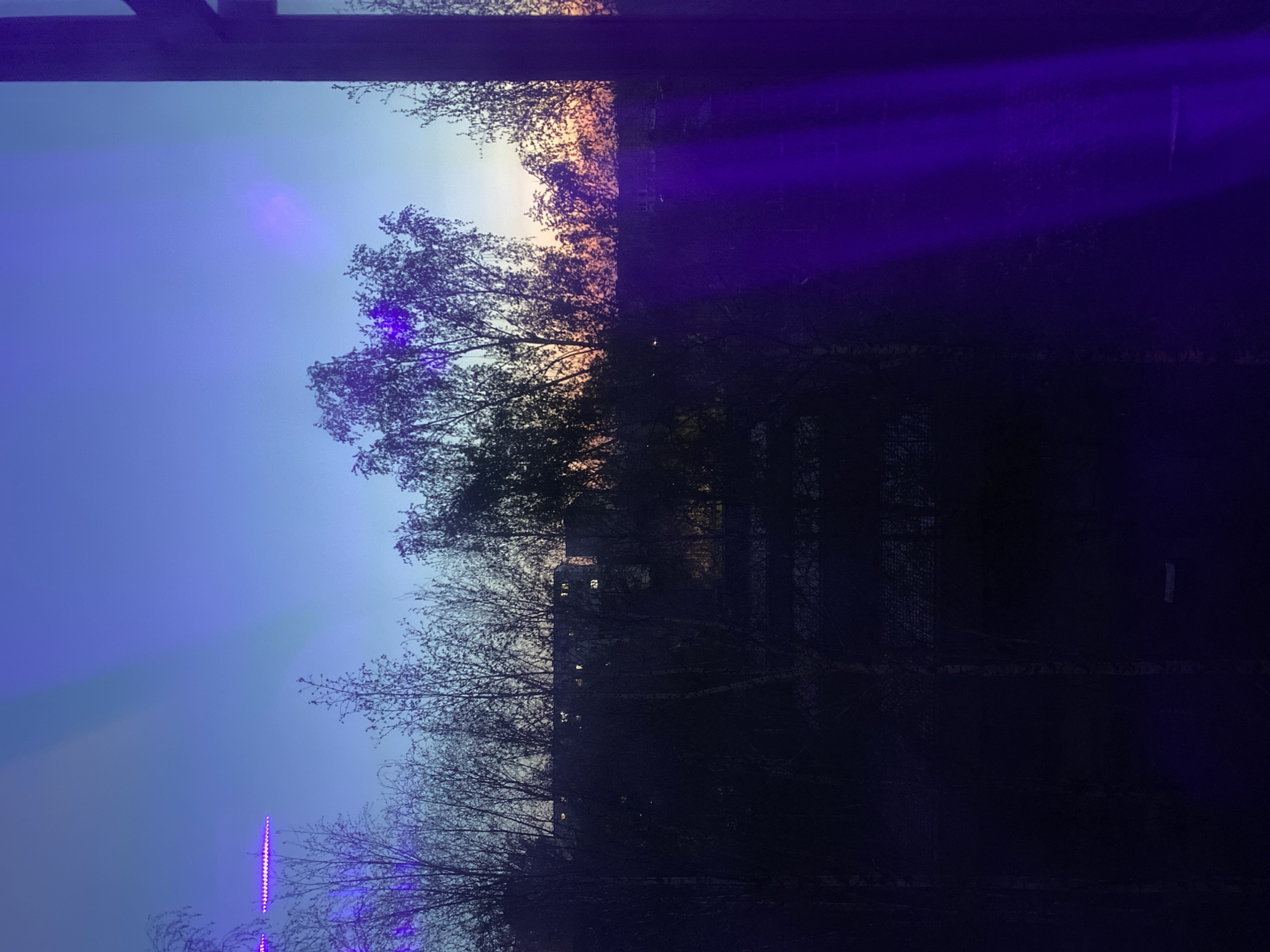 The image is a nighttime, low-angle shot through trees. The sky transitions from blue to orange near the horizon, which indicates either sunrise or sunset. A building with visible lit windows is silhouetted through the trees. There is a prominent purple lighting effect overlaying the scene. Given the reference to Izhevsk, Russia, the location cannot be determined with certainty, but is likely an area where trees are abundant enough to obstruct the skyline. There is a structure near the bottom of the image that is illuminated with a string of lights. No people are visible. The primary subjects are trees, sky, a building, and artificial lighting. The action is viewing a silhouetted cityscape through trees at dusk or dawn. The interaction involves light from the building and the sky interacting with the trees. The environment consists of an urban or suburban landscape with trees and buildings under a twilight or dawn sky, with artificial lighting.
