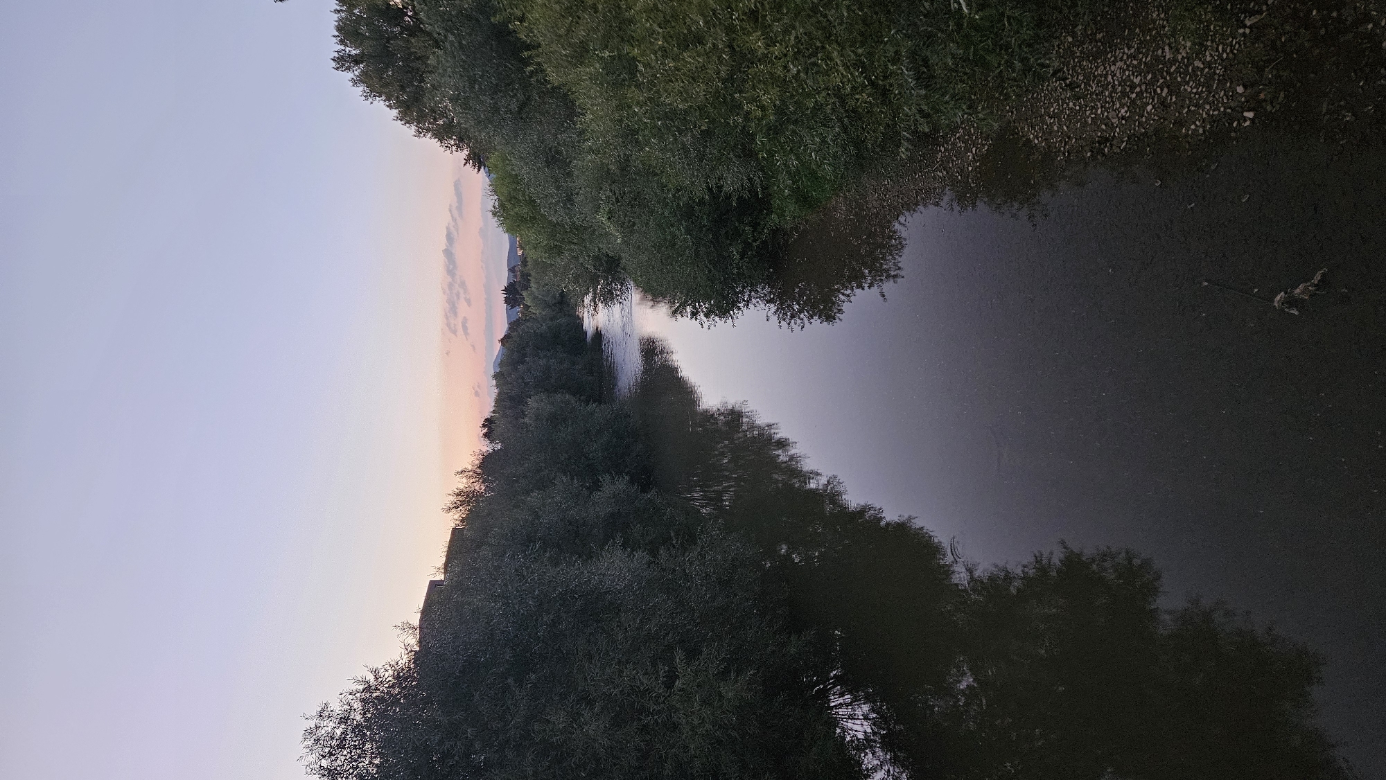 The image depicts a river flowing through a forested area during twilight. The sky is a soft gradient of purple and pink, suggesting the sun has recently set or is about to rise. Dense foliage lines both banks of the river, with trees reflecting in the calm water. The water appears murky, with some debris visible on the surface and along the rocky shoreline. In the distance, the landscape rises to gentle hills, with hints of structures suggesting a populated area. There are no people or animals visible in the scene. The overall atmosphere is serene and natural. The location of this scene in Prešov, Slovakia, cannot be determined from the visual information alone.