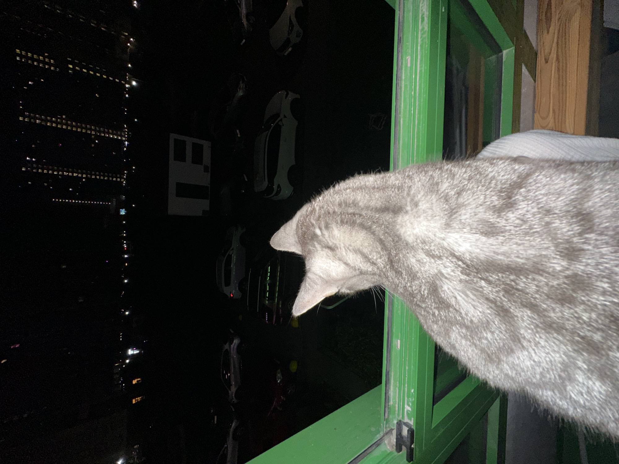 A grey tabby cat is perched on a green windowsill at night, looking out over a parking lot filled with cars. In the background, city lights illuminate apartment buildings and the night sky. The cat's fur is detailed with stripes, and its ears are perked up as it observes the scene below. The windowsill is made of metal and wood, and the windowpane reflects some of the city lights. The overall scene depicts a common urban night view from an elevated perspective.