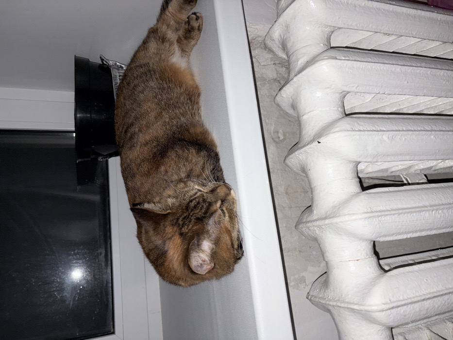 A brown tabby cat lies upside down on a white windowsill near a black ventilation pipe. Its head is tilted towards a white, cast-iron radiator. The cat appears relaxed or asleep. A window with a black frame is visible to the left of the cat. The overall scene is lit by artificial light.