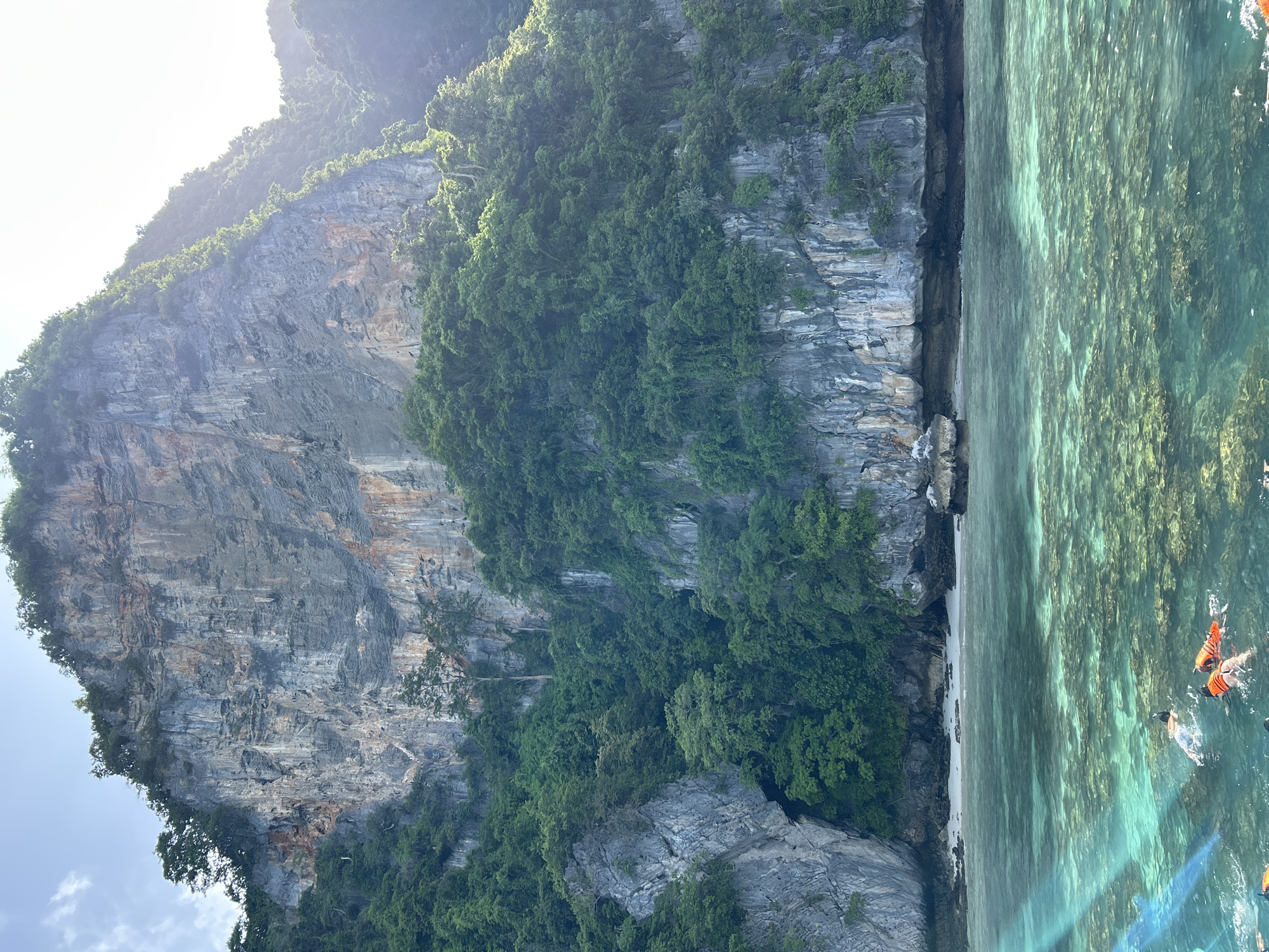 The image captures a scenic view of a tropical coastline, likely in Ko, Thailand, characterized by a towering limestone cliff covered in lush green vegetation. The cliff face exhibits distinct geological striations and variations in color, with patches of gray, brown, and white rock. Below the cliff, a narrow strip of sandy beach is visible, transitioning into clear, turquoise water. The water reveals a vibrant coral reef system just beneath the surface, teeming with life and illuminated by sunlight filtering through the water. Several individuals are engaged in snorkeling, identifiable by their orange life vests and snorkeling masks, floating in the shallow reef area. The overall atmosphere suggests a serene and idyllic coastal environment, popular for recreational activities like snorkeling.