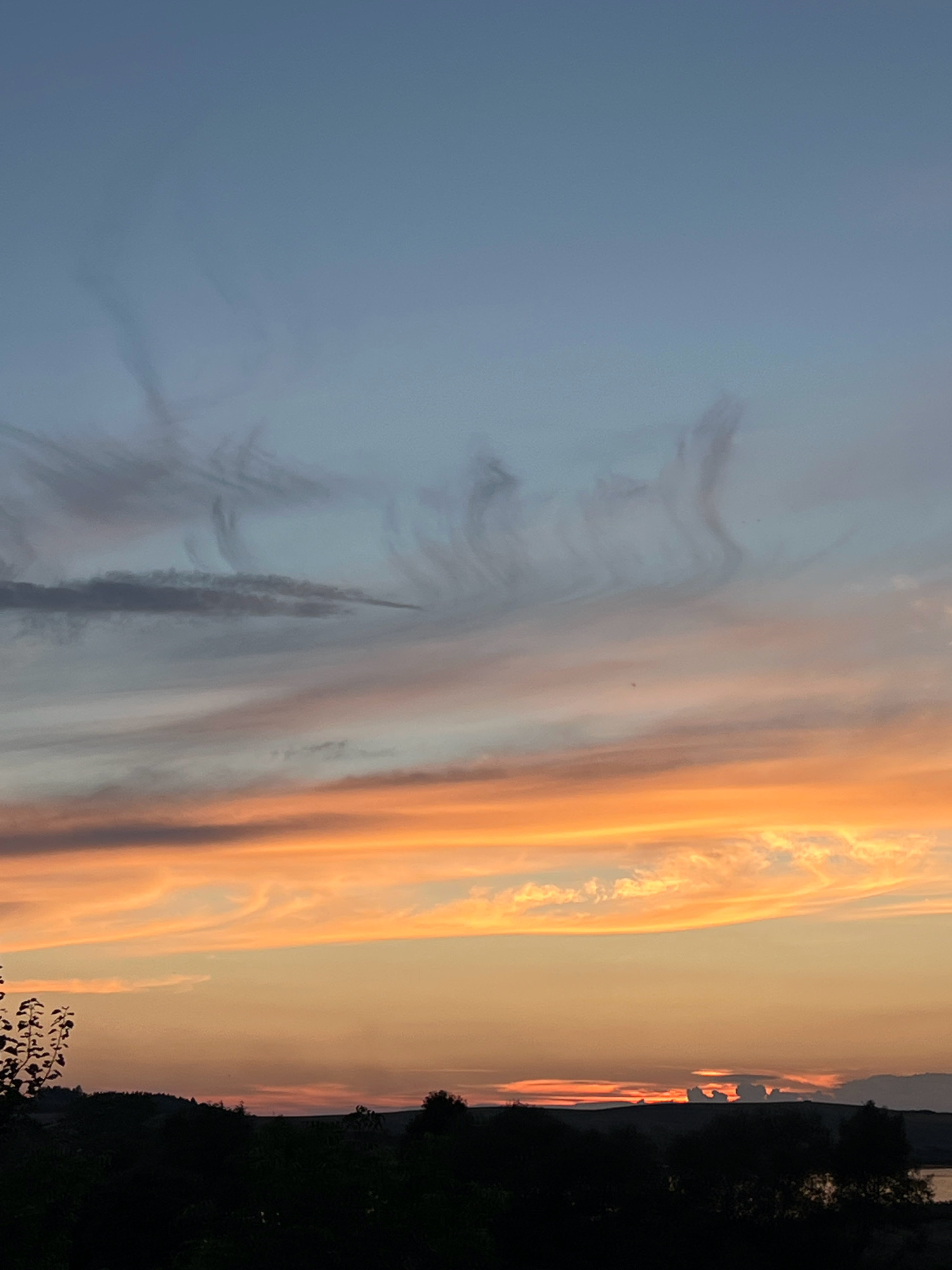 This is a vertical, eye-level photograph of a sunset over a rural landscape, likely in or near Vertelka, Ukraine, given the provided context. The sky dominates the upper two-thirds of the image, transitioning from a pale blue at the top to vibrant bands of orange and yellow near the horizon. Wispy, elongated clouds streak across the sky, catching the sunset's light and creating a dynamic, almost painterly effect. Some darker, more solid clouds are visible in the upper left quadrant.
The lower third of the image features a dark silhouette of trees and rolling hills. A thin, dark line of what appears to be land or a distant shoreline is visible across the horizon, with hints of a body of water on the far right. No people, animals, or specific structures are discernible in the scene. The overall impression is one of a serene and natural twilight setting.