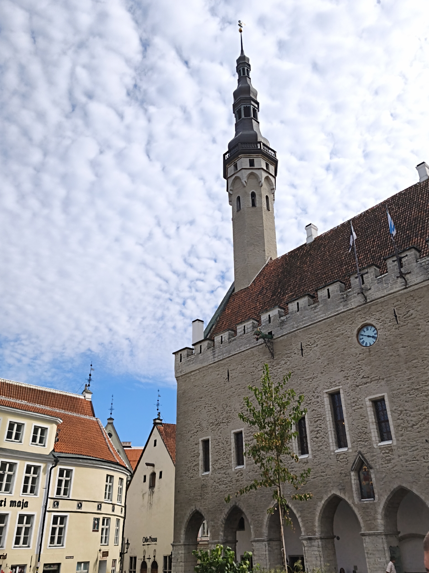 The image captures a view of the Town Hall Square in Tallinn, Estonia, on a partly cloudy day. Dominating the scene is the Tallinn Town Hall, a Gothic building with a prominent clock tower. The tower, a slender, dark-capped spire, rises high against the sky, adorned with decorative stonework and a balcony. The main building features a red-tiled roof, crenellated battlements, and a large round clock face with Roman numerals on its façade. Two flags, one white and blue, the other white with a blue design, fly from the roof.
To the left of the Town Hall, several other buildings with red-tiled roofs and cream-colored facades are visible. These buildings have multiple windows and some display signage, though the text is partially obscured. One building on the far left shows the partial text "ri maja".
In the foreground, an arched walkway runs along the base of the Town Hall, supported by stone columns. A young, leafy tree stands in front of the walkway, casting a shadow. The ground appears to be paved. In the lower right corner, the heads of a few people are partially visible, suggesting a public space. The sky is filled with fluffy white clouds scattered across a blue background.