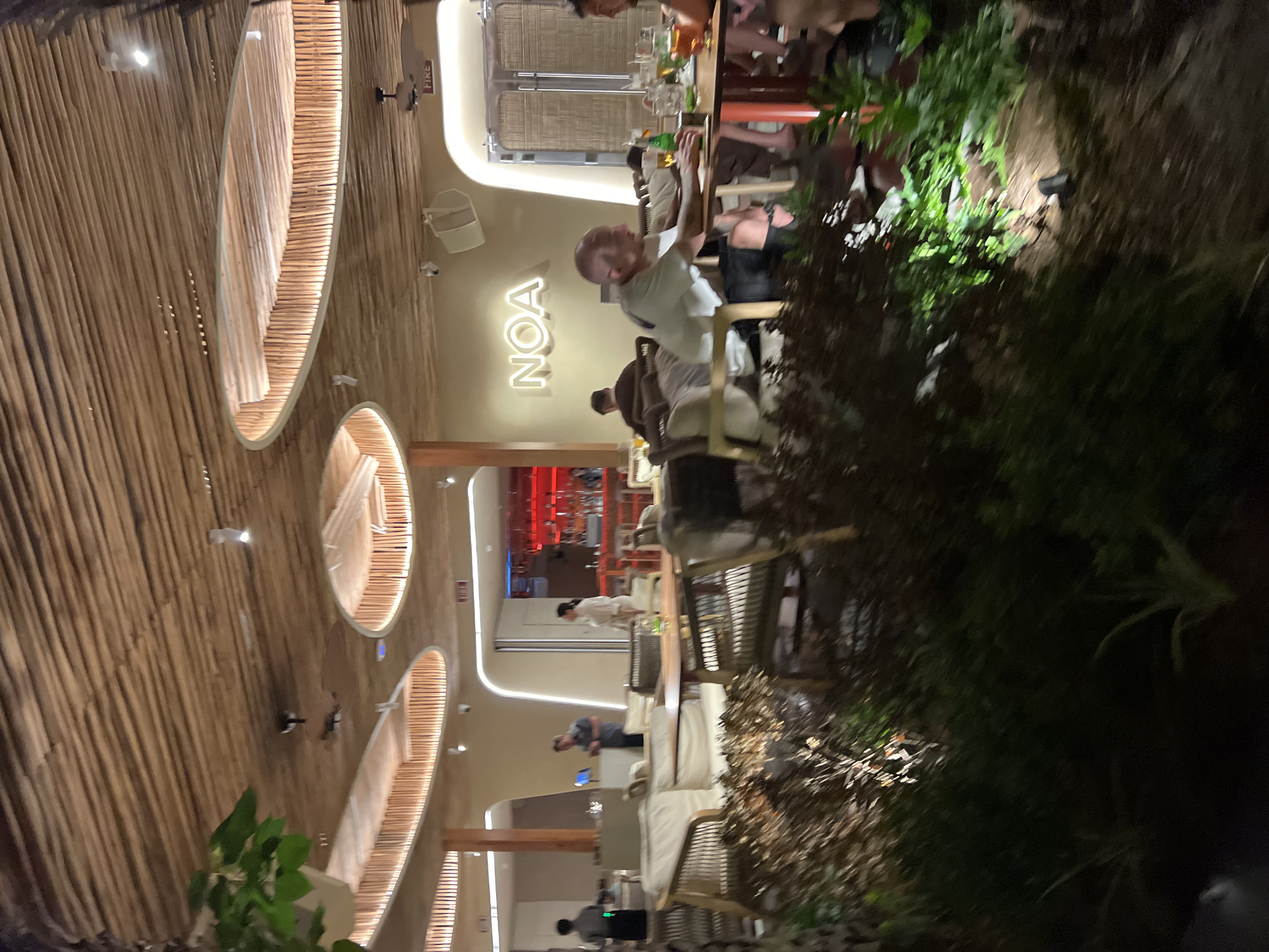 This image depicts the interior of a restaurant or bar, likely in Nha Trang, Vietnam, characterized by its natural, rustic aesthetic. The ceiling is constructed from rough-hewn wooden beams, with strategically placed recessed lighting illuminating oval-shaped panels also made of wood. The walls are a neutral, light color, with a prominent neon sign spelling out "NOA" in large, block letters.
In the foreground, lush green foliage and plants are visible, suggesting an outdoor seating area or a strong integration of nature into the indoor design. Beyond the foliage, tables and seating are arranged. One table in the mid-ground has several people seated around it, with glasses of drinks on the table. A man with a shaved head, wearing a white t-shirt, is leaning forward, appearing to engage in conversation.
Further back, other patrons are seated at tables, and staff members can be seen interacting, including a woman in a light-colored outfit standing near a counter. The background reveals a bar area with bright red lighting and a selection of bottles. The overall atmosphere appears to be relaxed and social, with a modern, nature-inspired design. A "FIRE" sign is visible on a ceiling-mounted fixture in the upper right portion of the image.