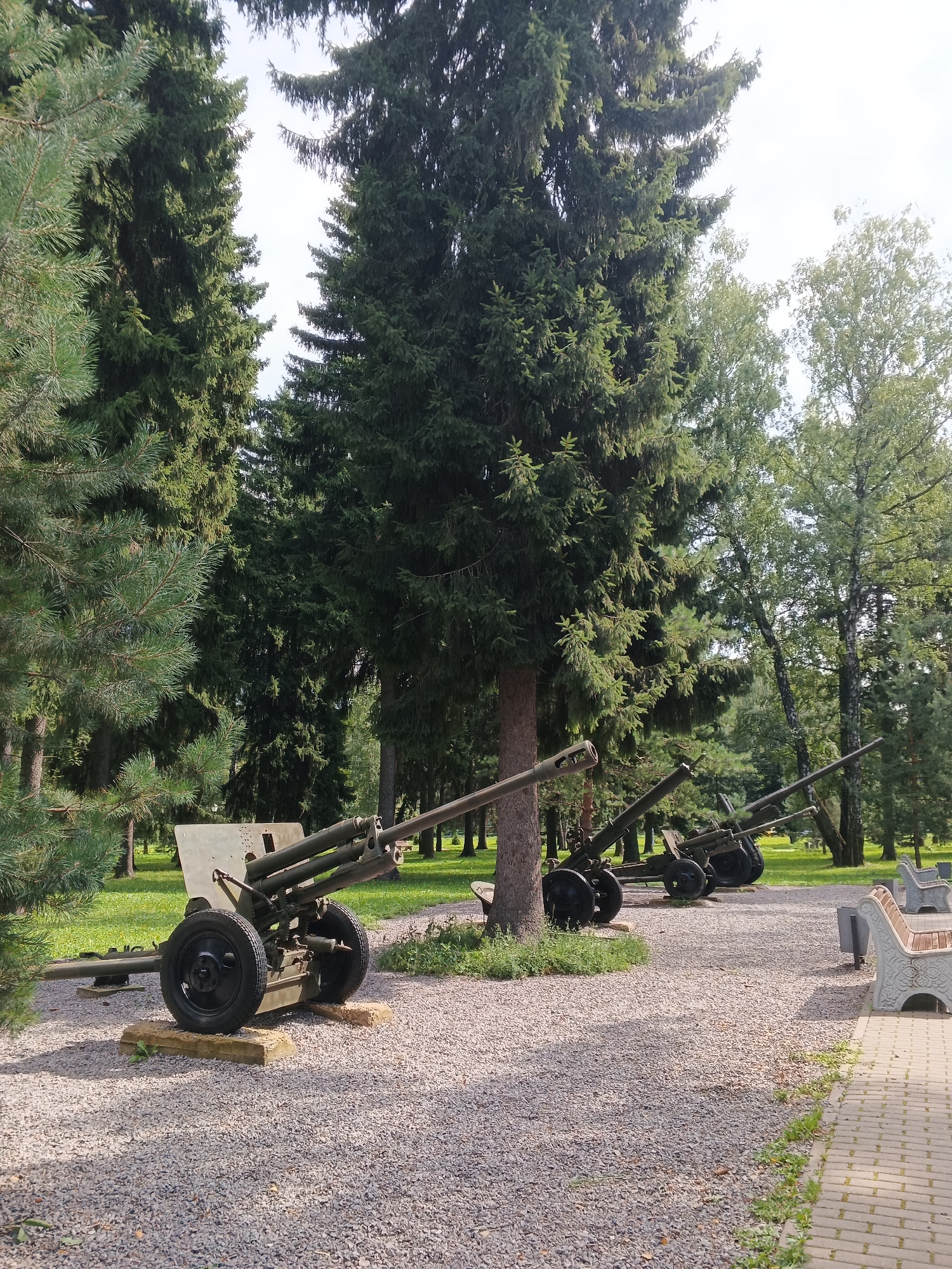 This is a full, eye-level, outdoor shot of a memorial park with several vintage cannons on display. The scene is dominated by tall, mature conifer trees. In the foreground, a single cannon is positioned on a gravel path, resting on two rectangular concrete blocks. This cannon is dark green and features two large black wheels. Behind it, a line of three more similar cannons extends into the distance, also on the gravel path. Beyond the cannons, a grassy area is visible, with more trees in the background. To the right of the cannons, a paved walkway is present, lined with several decorative park benches. The sky is overcast and bright. There are no people or animals present in the scene.