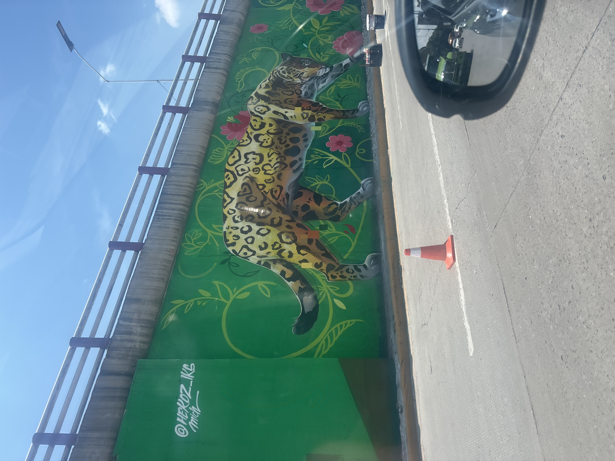 A mural of a leopard with flowers and vines adorns a wall along a bridge in Buenavista, Mexico. A traffic cone sits near the wall on a concrete roadway, with a car mirror visible in the upper right corner. The image suggests the photo was taken from inside a vehicle.