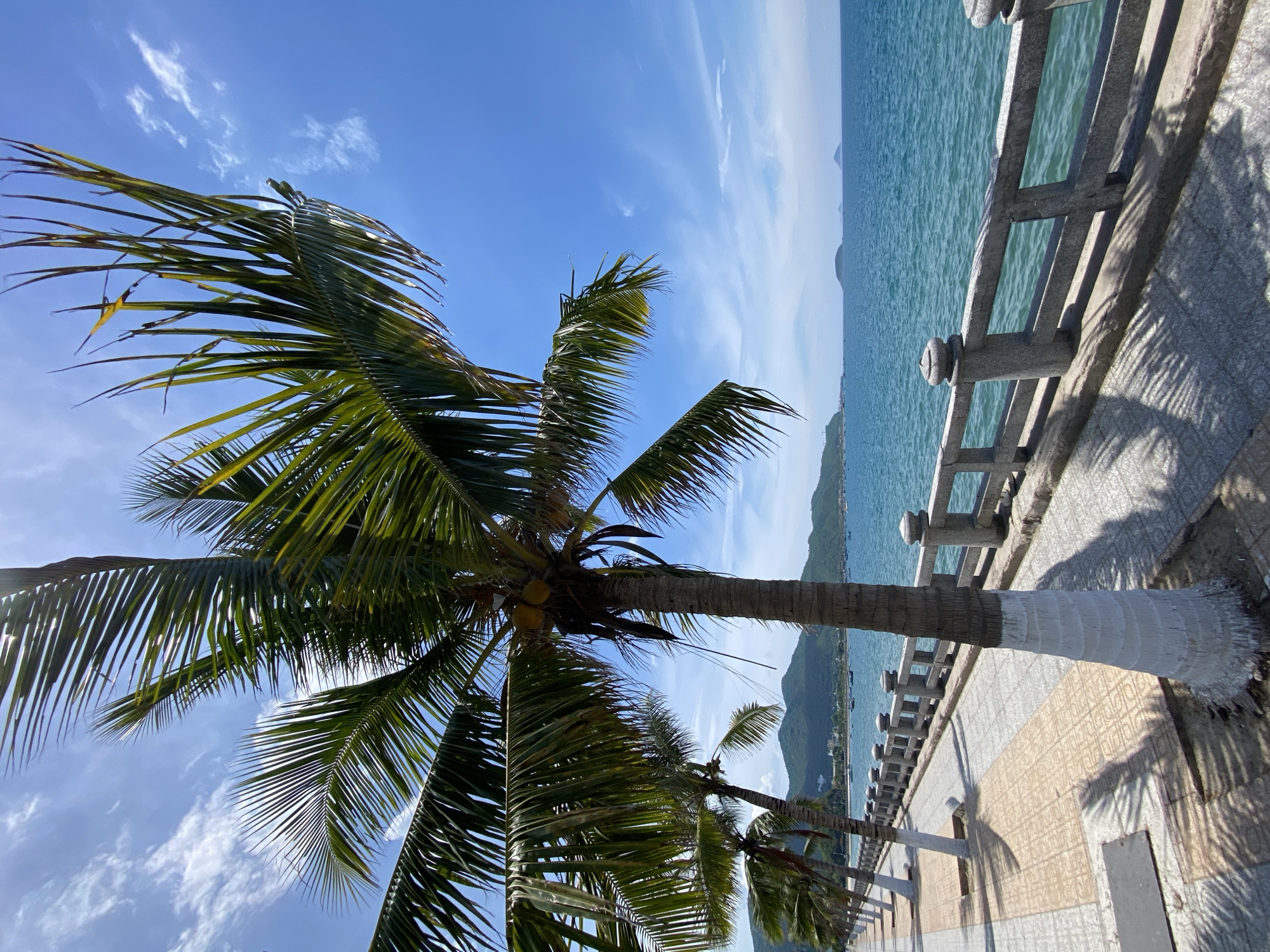 A bright, sunny day illuminates a seaside promenade lined with palm trees in Nha Trang, Vietnam. The foreground features a paved walkway with a patterned tiled surface, bordered by a grey stone railing overlooking the turquoise ocean. Several palm trees, their trunks partially painted white, stand along the promenade, casting dappled shadows. In the distance, a line of mountains frames the coastline, with a few boats visible on the water and distant islands on the horizon. The sky is a clear blue with scattered white clouds.