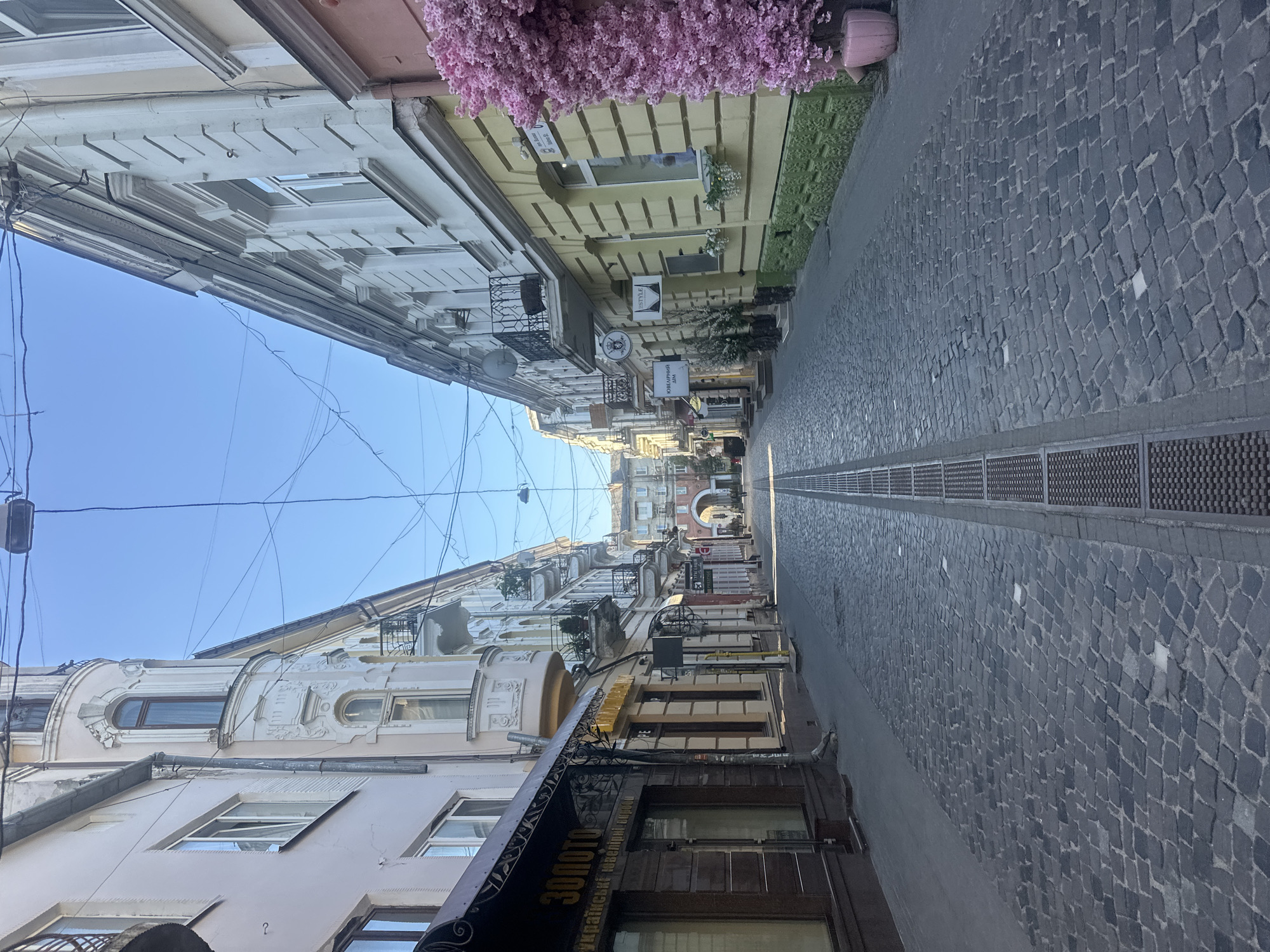 The image depicts a narrow cobblestone street lined with historic buildings on both sides. The architecture suggests an Eastern European city, with ornate facades, balconies, and arched windows. The street is mostly empty, with only a few distant figures visible, indicating a quiet time of day, likely morning or late afternoon due to the low angle of the sun casting long shadows.
On the left side of the street, the first building features a dark awning with "ЗОЛОТО" (ZOLOTO) written in gold lettering, suggesting a jewelry store. The building has multiple windows and architectural detailing. Further down, other shops with awnings and signs are visible.
On the right side, the buildings are painted in lighter colors, with yellow and pink dominating the visible facades. These buildings also feature balconies and windows. A striking feature on the right is a large, artificial tree with vibrant pink blossoms, in front of a pink-colored building.
The street is paved with dark cobblestones, with a metal grate running down the center, likely for drainage. Overhead, a tangle of wires crisscrosses the sky, typical of older urban infrastructure. In the distance, an arched gateway can be seen, hinting at a larger square or thoroughfare beyond.
The location is the Ternopil pedestrian street, vul. Lutska, Ternopil, Ukraine.