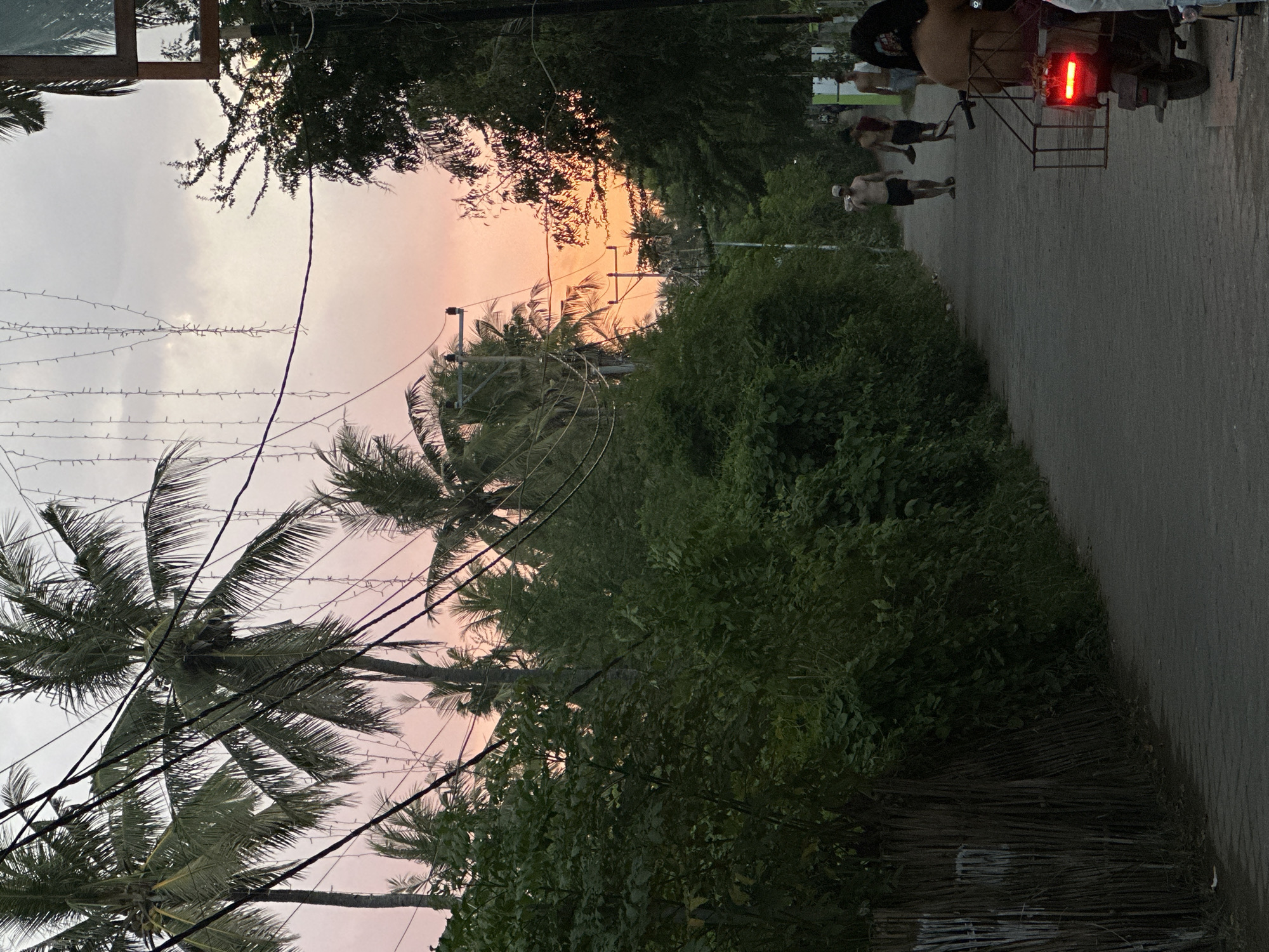 The image shows a street scene in an unidentified location in Indonesia. The street is lined with dense green foliage and palm trees, against a backdrop of a dusky sky tinged with pink and orange hues. Overhead power lines crisscross the view. On the right side of the street, a motorized tricycle with a red light and a wire rack is present. Several people are walking near the tricycle. The overall environment suggests a tropical setting during twilight.