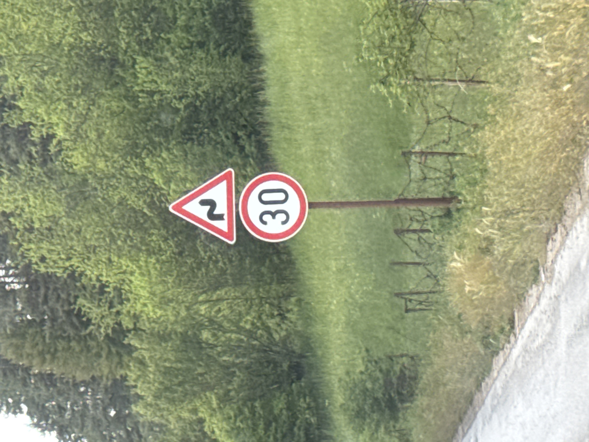 The image shows a road sign near a grassy area. The road sign consists of two signs: one is a triangular warning sign with a red border indicating a series of curves or bends in the road. To the right of it is a circular speed limit sign with a red border and the number 30 inside, indicating a speed limit of 30. The signs are mounted on a metal post. In the background, there is green grass and trees. The location is possibly Chokmanovo, Bulgaria, based on contextual information. The photograph appears to have been taken near a road, as there is a paved surface visible on the right side of the image.