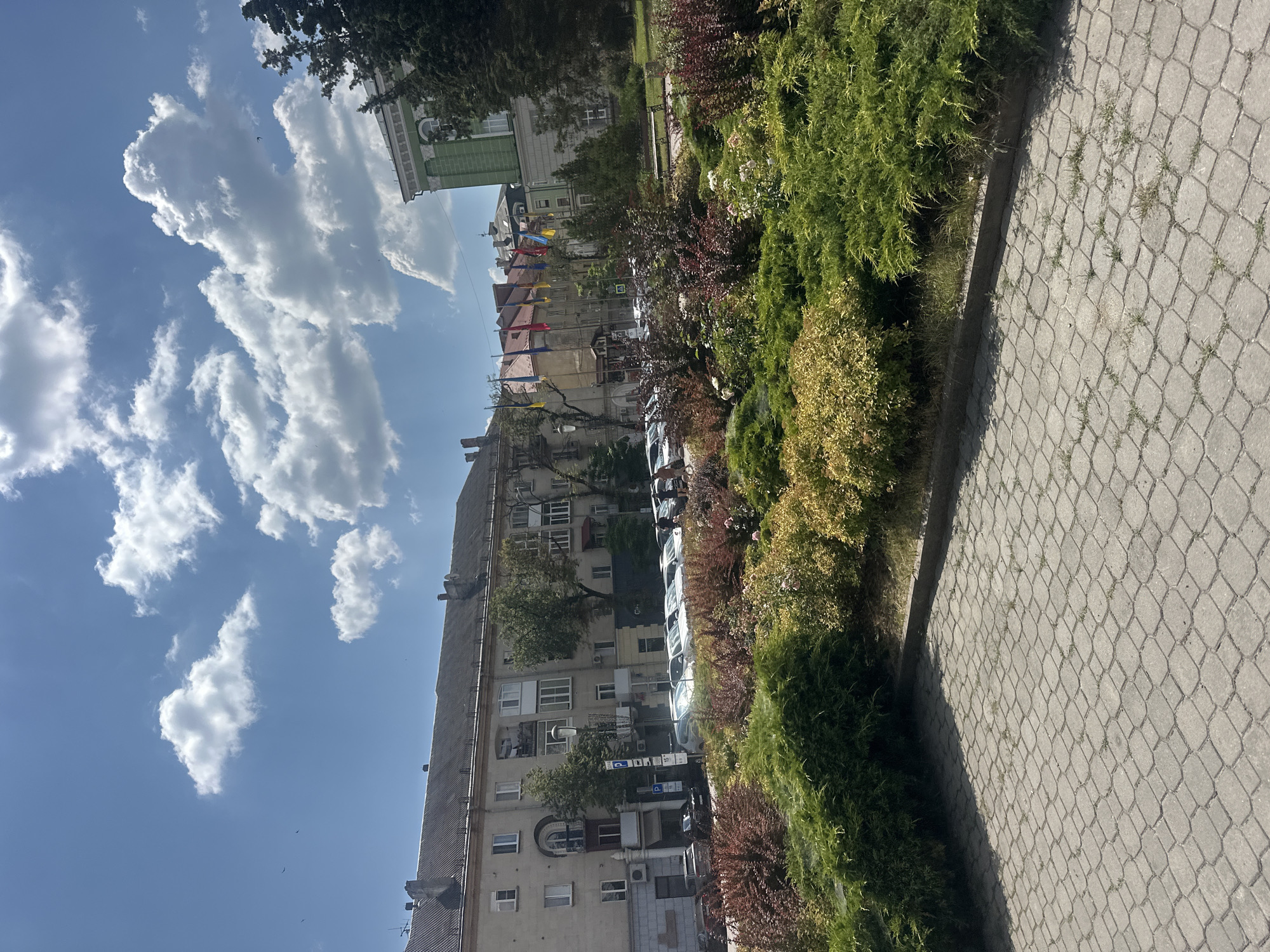 A street scene in Ternopil, Ukraine, features a paved sidewalk in the foreground, bordered by a manicured garden with various shrubs and flowering plants. Behind the garden, a row of parked cars is visible along the street. A multi-story building with a light-colored facade and numerous windows stands across the street, with flags displayed in front of it. Further down the street, a large green building with white architectural details is prominent. The sky is blue with scattered white clouds. The image captures a daytime view of an urban environment.