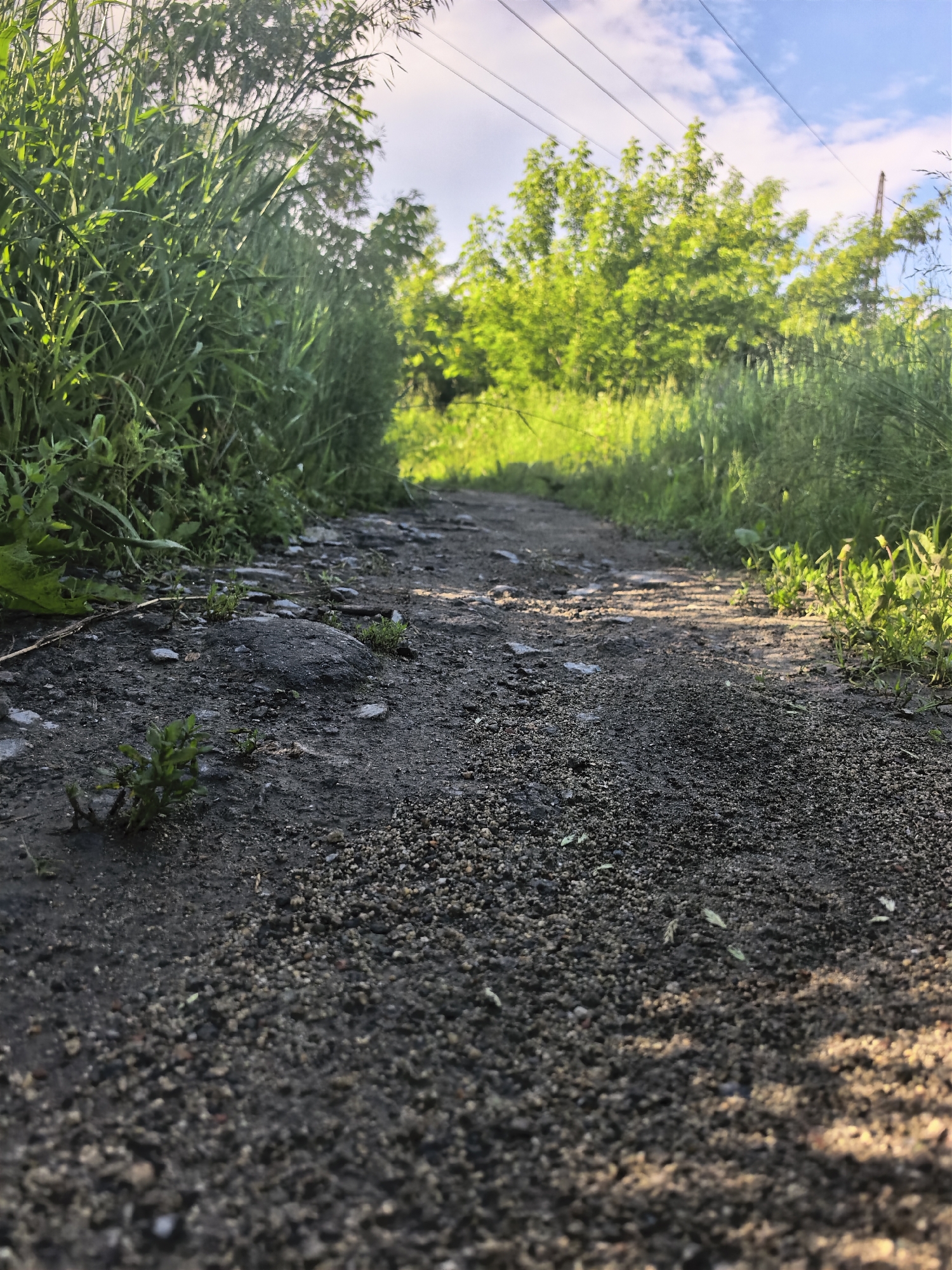 The image depicts a low-angle view of a gravel path leading through overgrown green grass and trees under a blue sky with scattered clouds. Power lines are visible in the upper portion of the image. The path is uneven, with rocks and small plants growing along its edges. Sunlight casts shadows on the ground. The scene is an outdoor environment, possibly a natural area within an urban setting.