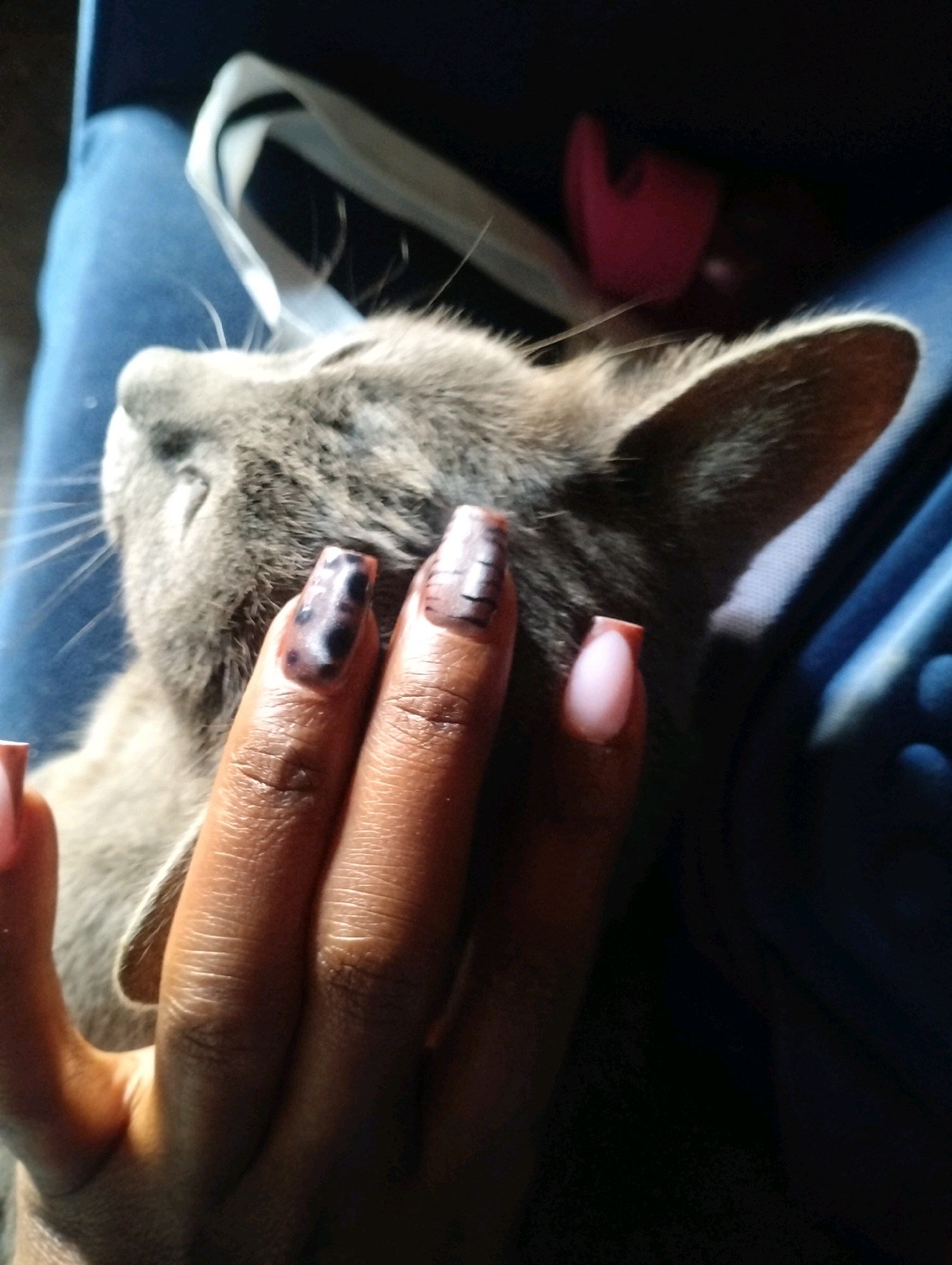 In Kinanie ward, Kenya, a close-up shot captures a gray cat being petted by a person's hand. The cat's fur is soft and slightly blurred due to motion. The person's hand, adorned with painted fingernails featuring a marbled design and a pink French tip, is gently stroking the cat's head. The background consists of dark fabric, possibly clothing or upholstery, with a sliver of bright light illuminating the scene, casting shadows. A hint of blue denim is visible in the upper left quadrant of the image.