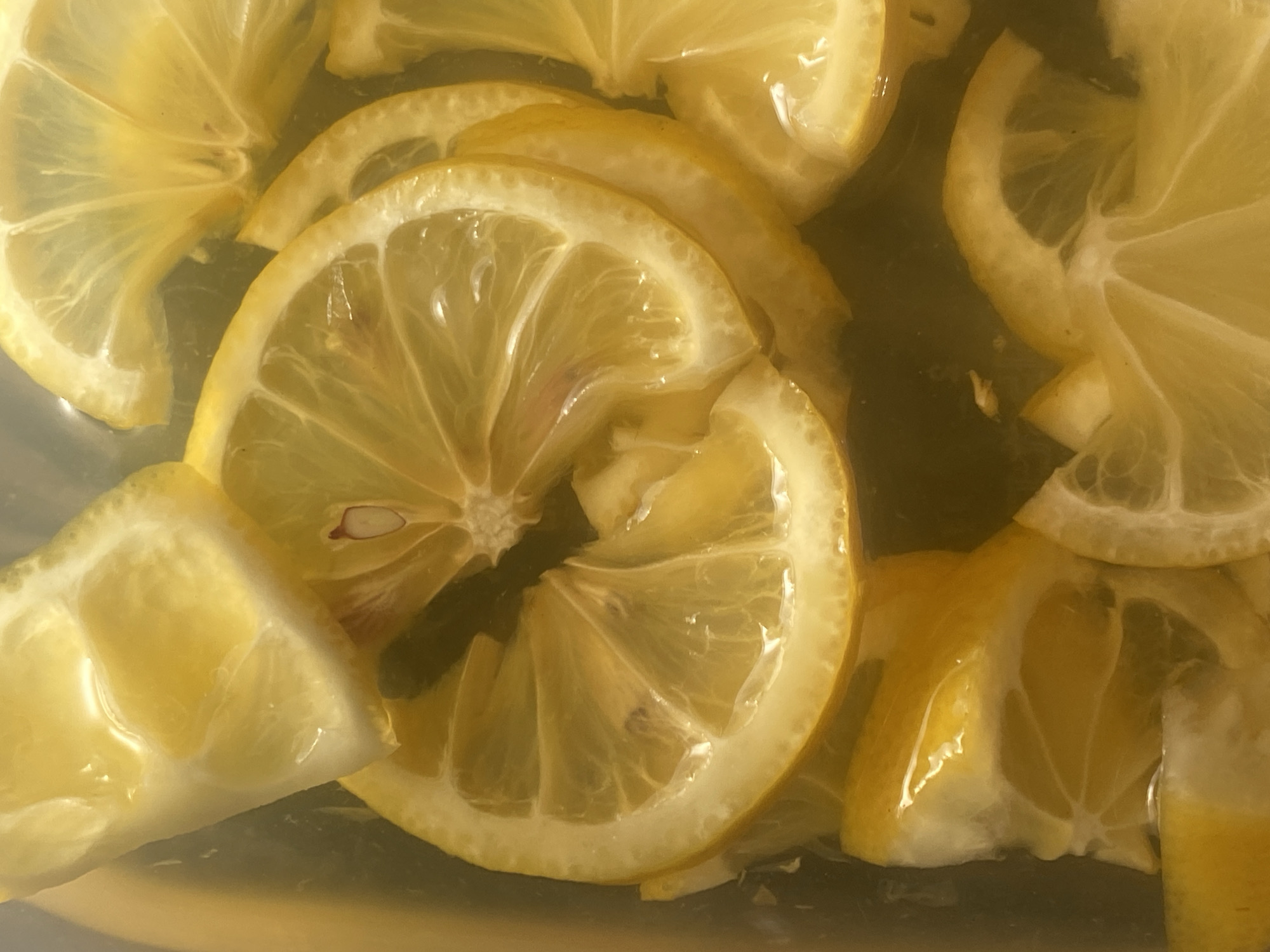 The image presents a close-up, overhead view of numerous freshly sliced lemons, partially submerged in a translucent, yellowish liquid. The vibrant yellow of the lemon flesh dominates the frame, with individual segments clearly visible through the fruit's translucent membranes. Several slices overlap, creating a dense pattern, and some exhibit small, dark brown seeds within their pulp.
The rinds of the lemon slices are bright yellow with a visible white pith layer. The liquid, which appears slightly murky in shadowed areas, creates a subtle reflection on its surface. The lighting is soft and bright, emphasizing the juicy texture of the lemons. No specific activity is occurring, but the arrangement suggests preparation for a beverage like lemonade or infused water. The background consists entirely of the liquid and other lemon slices, obscuring any discernible location cues or specific objects beyond the fruit. There is no visible text. The time of day and weather cannot be determined from the image.