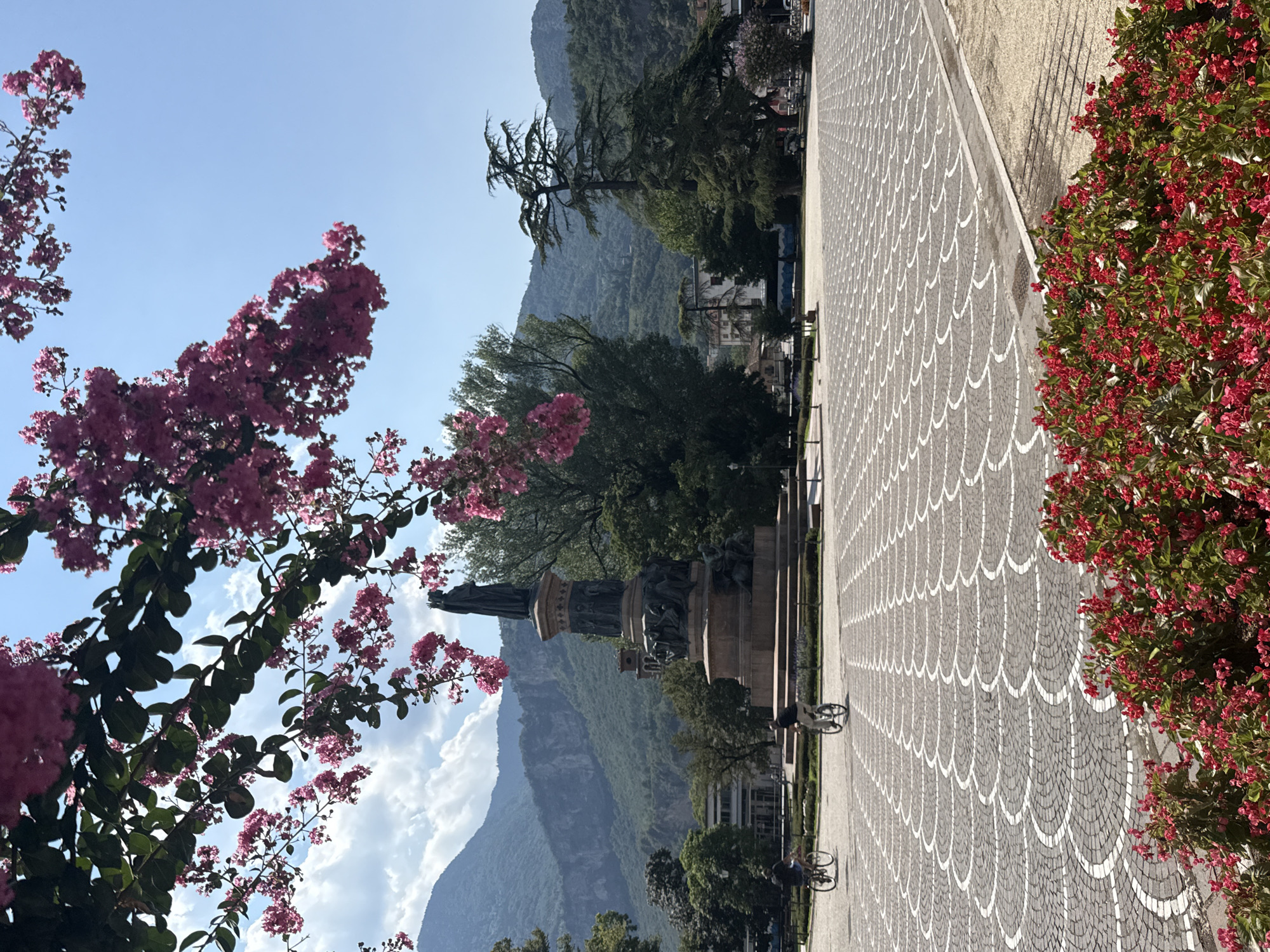 The image depicts Piazza Duomo in Trento, Italy, on a clear, sunny day. In the foreground, blooming pink flowers frame the lower portion of the scene. The central focus of the piazza is a large, ornate monument topped with a statue of a crowned figure, with detailed sculptural elements around its base. Two individuals are visible cycling across the patterned cobblestone pavement of the piazza. In the background, lush green trees and buildings are situated, with majestic, verdant mountains rising behind them under a bright blue sky with scattered clouds. The overall scene conveys a serene and picturesque urban landscape.