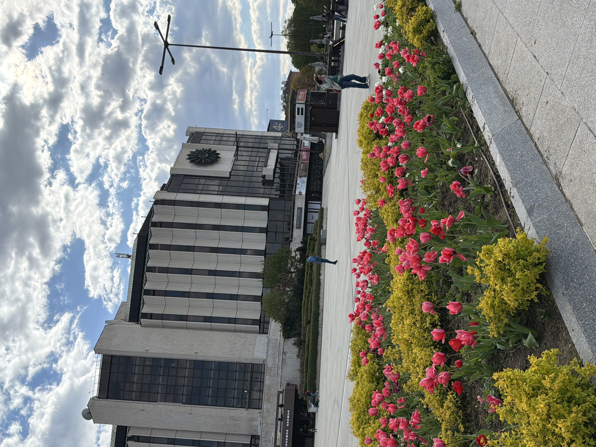 The image depicts an outdoor urban scene featuring a large, modern building, a wide paved plaza, and a vibrant flower bed under a partly cloudy sky. The multi-story building showcases a facade of alternating light-colored vertical panels and dark, reflective windows. A distinctive circular emblem, resembling a stylized gear or sun, is prominent on one of its upper sections. The building also has visible satellite dishes and antennae on its roof.
In the foreground, a long flower bed runs parallel to the building and a light-grey paved walkway. This bed is abundantly planted with numerous red tulips and a few white ones, interspersed with bright yellow-green bushes, all appearing to be in full bloom.
Several people are visible. One person, wearing a light jacket and jeans, stands near the building's entrance area. Another individual in a blue top is walking further down the plaza, past a line of trees. In the background, outdoor seating with tables and chairs suggests the presence of cafes or restaurants. A tall, dark light pole with a cross-shaped top extends into the sky.
The sky is bright with scattered white and grey clouds against a clear blue, indicating daytime. The atmosphere appears calm. Visible text includes "WINE & BOOKS" on a sign near the building's base and "45" on another sign.
