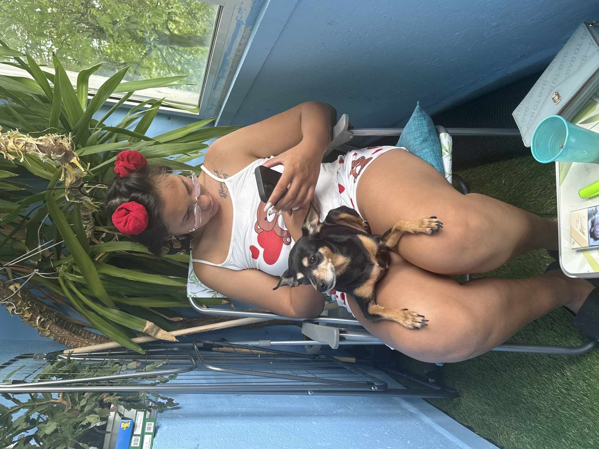 A woman with red hair accessories sits in a folding chair on a balcony. She is looking at her phone, with a small black and tan dog resting on her lap. The balcony has a blue wall, a metal rack, and a large plant. A window overlooks trees. A light blue purse, a turquoise cup, and a magazine are on a table in the foreground.
