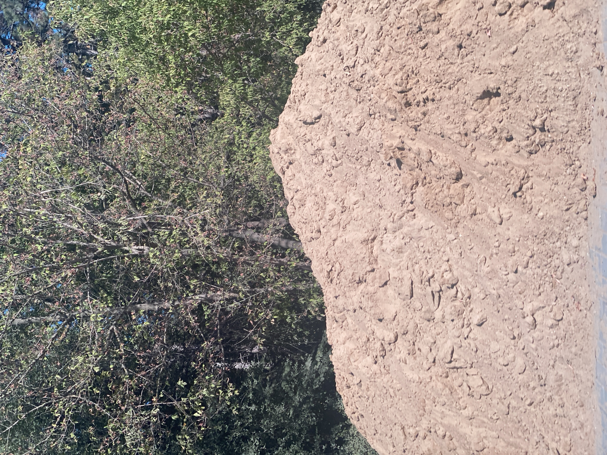 The image shows a pile of dirt or sand in the foreground, with a background of trees and foliage. The dirt pile is large and appears to have been recently excavated or moved, as indicated by its uneven surface and loose texture. The trees in the background are green and lush, suggesting a warm season. The sky is visible in small patches between the branches, appearing blue. The scene appears to be outdoors, possibly in a construction site, park, or a rural area. There are no people or animals visible in the image. The location in Chișinău, Moldova, cannot be determined from the visual information provided.
