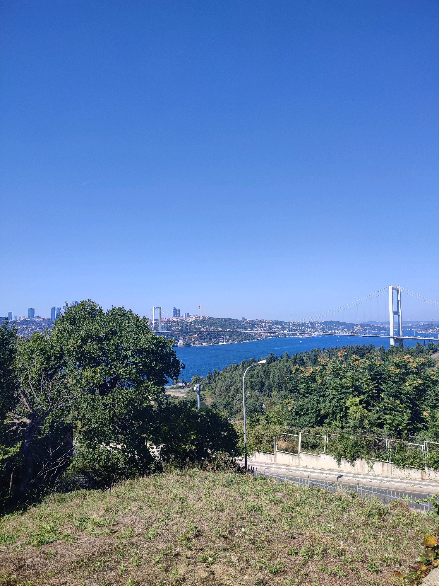 This is a landscape photograph taken from a high vantage point overlooking a body of water, with a city skyline and a large suspension bridge in the background. The foreground consists of dry, grassy terrain with patches of green vegetation and a large tree with dense foliage on the left side. A road runs diagonally across the middle right of the frame, bordered by a concrete wall and a metal fence topped with barbed wire. Beyond the road and fence, a dense forest of green trees covers the hillside.
The body of water, which appears to be the Bosphorus Strait, is a vibrant blue and is dotted with several boats. On the far side of the water, a city skyline rises, characterized by numerous tall buildings, including skyscrapers. A prominent white suspension bridge spans the water, connecting the two sides of the city. The sky is a clear, cloudless blue.
The image appears to be taken in Üsküdar, Turkey, given the presence of the Bosphorus Strait and the distinctive suspension bridge, which is likely the Bosphorus Bridge (also known as the 15 July Martyrs Bridge). The perspective suggests a view from a park or elevated area within Üsküdar, looking towards the European side of Istanbul.