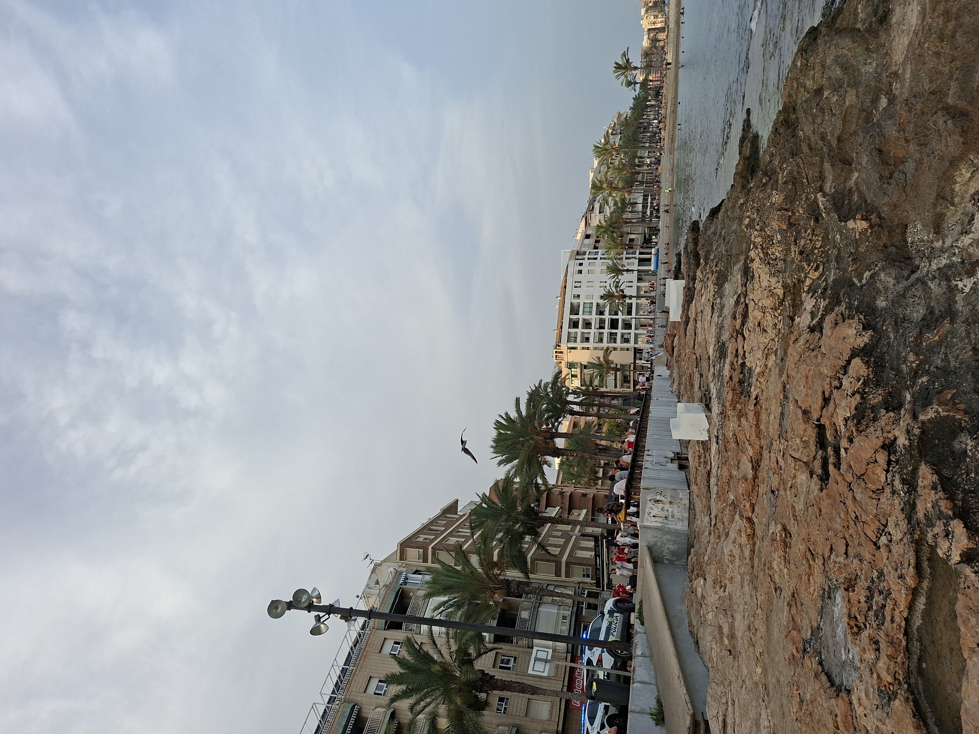 The image shows a rocky shoreline in Torrevieja, Spain, with a promenade and buildings bordering the sea. In the foreground, rough, reddish-brown rocks are visible, with some pools of water. The promenade, constructed from concrete and featuring a low wall, runs along the edge of the rocky area. A streetlamp with multiple lights stands near the promenade.
Further back, a row of multi-story buildings with balconies lines the promenade. Palm trees are interspersed along the street in front of these buildings. Several police cars, identified by the word "POLICIA" visible on their sides, are parked on the street. A flock of people are gathered on the promenade, some walking and others standing.
Beyond the buildings and palm trees, the sea stretches out, calm with gentle waves. A few people are visible in the water, swimming or wading. The sky is overcast with scattered clouds. In the air, a bird is in flight, silhouetted against the sky. The scene appears to be a public area in a coastal city, likely a popular spot for residents and tourists.