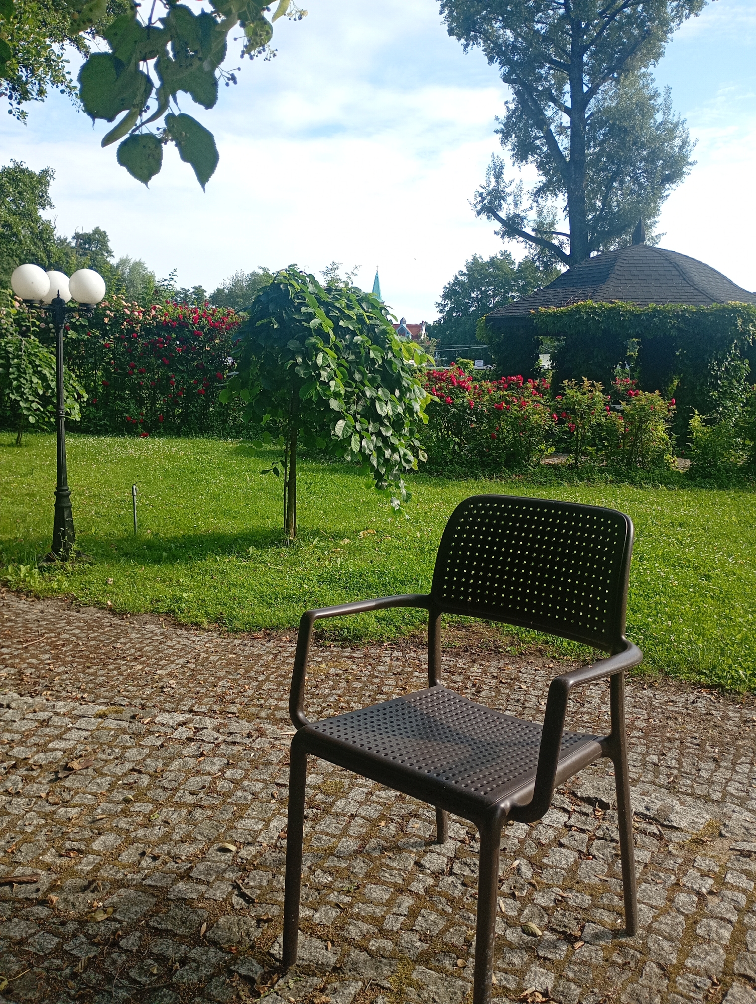 A dark brown, perforated plastic chair with armrests sits on a cobblestone path in the foreground of an outdoor scene. Behind the chair, a neatly mown green lawn stretches out, punctuated by a small, ornamental tree with drooping branches. Further back, a dense hedge of red roses forms a vibrant backdrop, interspersed with lush green foliage. To the left, a black lamppost with three globe-shaped lights stands tall. In the distance, a dark, shingled gazebo covered in ivy is visible, nestled among tall trees. The sky above is a pale blue with scattered white clouds. The overall impression is of a serene garden setting, likely in Międzyrzecz, Poland.
