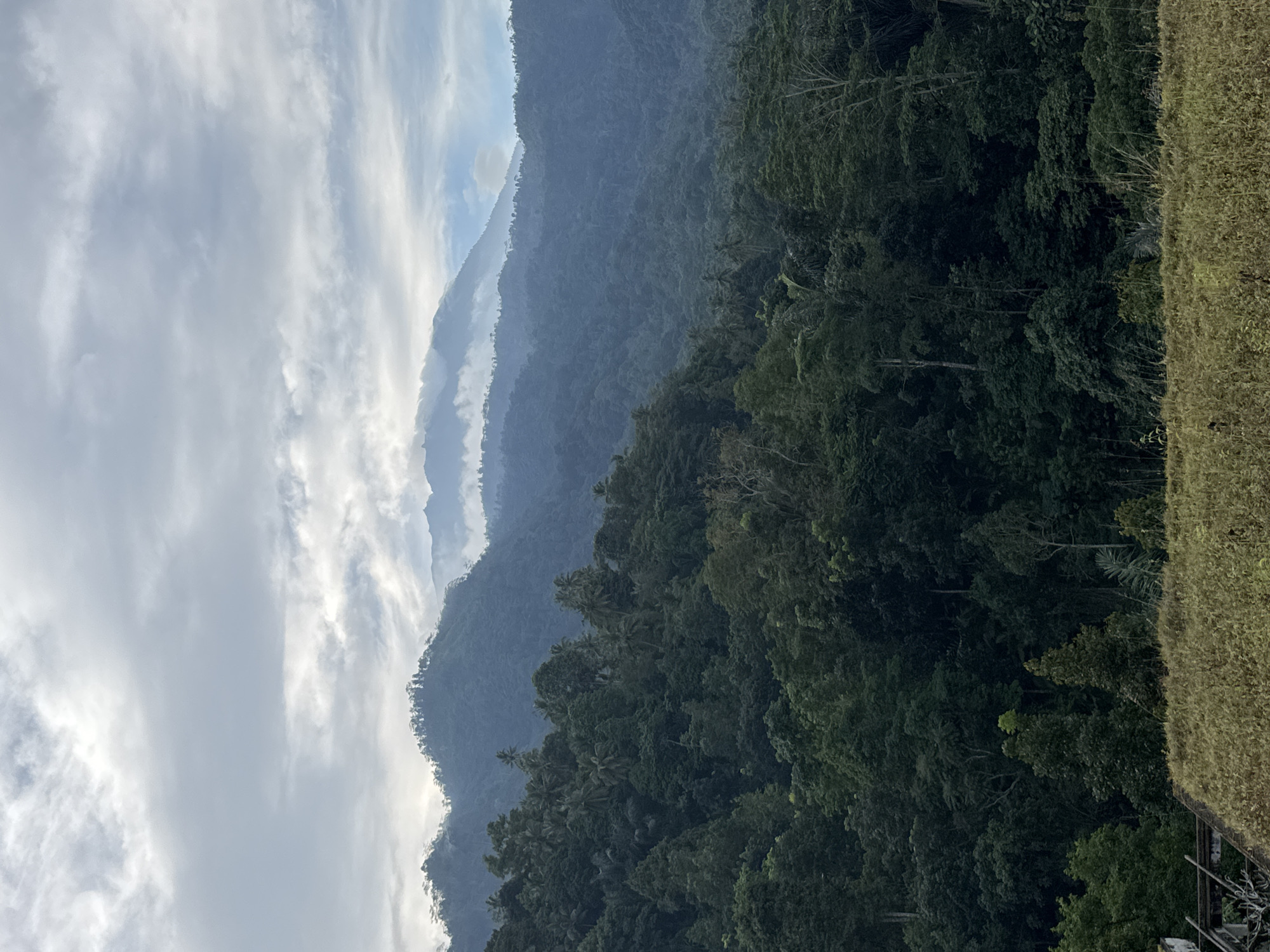 The image depicts a lush, verdant landscape of rolling hills and mountains in Bebandem, Indonesia. The foreground features a grassy field with dry, straw-colored vegetation and a partially visible, weathered structure on the left, possibly an old building or ruins, with exposed concrete and rebar. The middle ground is dominated by dense, dark green tropical foliage, including a variety of trees and palm trees, indicative of a rainforest. The background showcases multiple layers of mist-shrouded mountains receding into the distance, with the highest peaks subtly visible beneath a cloudy sky. The sky itself is overcast with soft, diffused light filtering through the clouds. There are no people or animals visible in the scene. The overall atmosphere is serene and natural, conveying a sense of undeveloped wilderness.