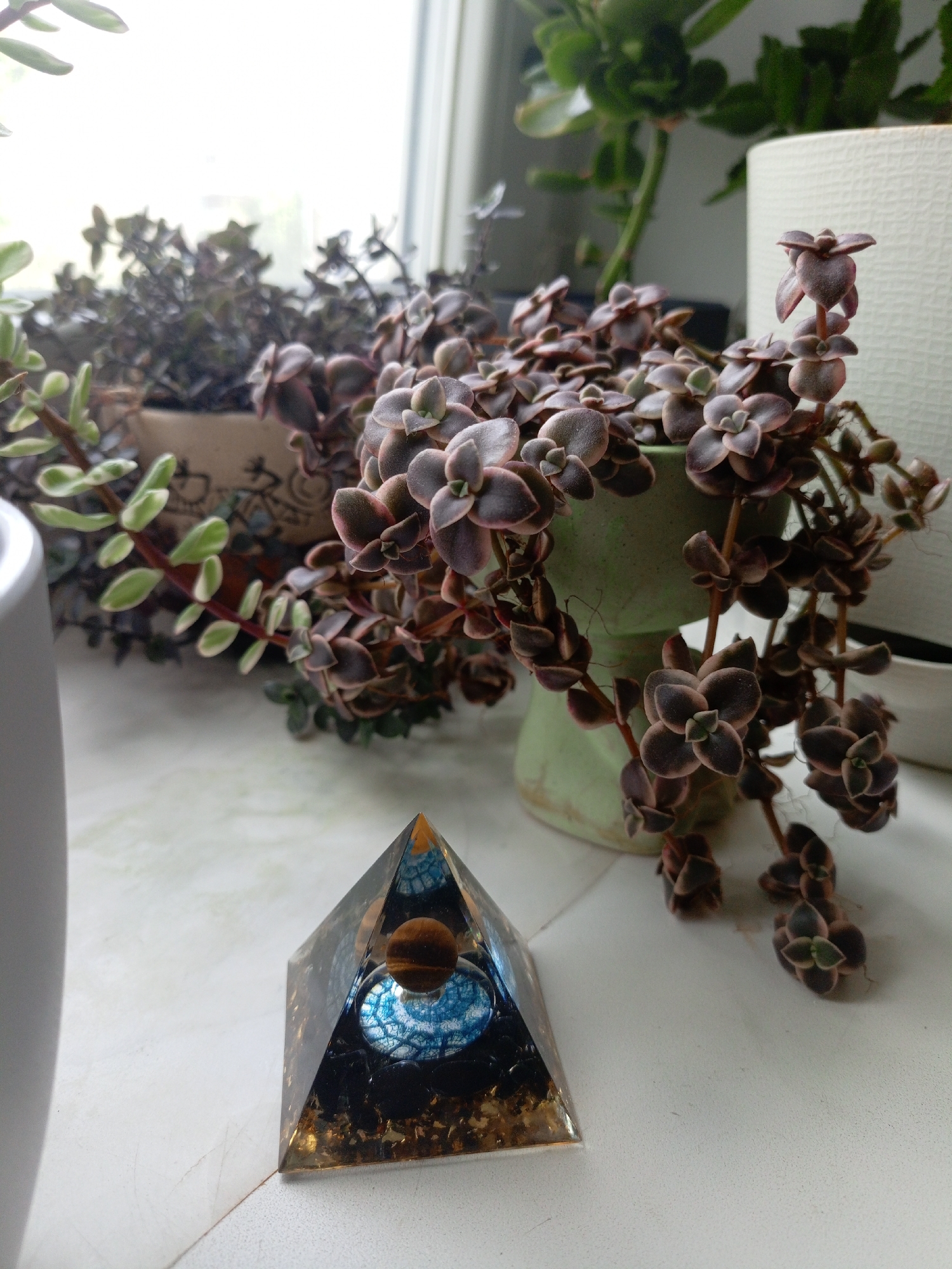 In Saratov, Russia, on a windowsill, a pyramid-shaped orgone device sits on a speckled white surface. The device has a faceted, transparent casing containing various elements including a tiger's eye sphere, a blue sphere resembling a planet with a cracked surface, and golden flakes. Behind the orgone device, several potted succulent plants are arranged. One plant in a light green pot features small, dark purple leaves with pinkish edges, cascading downwards. Another plant with lighter green leaves and reddish stems is positioned to the left and slightly behind. In the background, more greenery is visible, with some plants in darker pots. A white textured cylindrical object, possibly another planter, is visible to the far right. The scene is illuminated by natural light coming from a window, creating soft shadows.