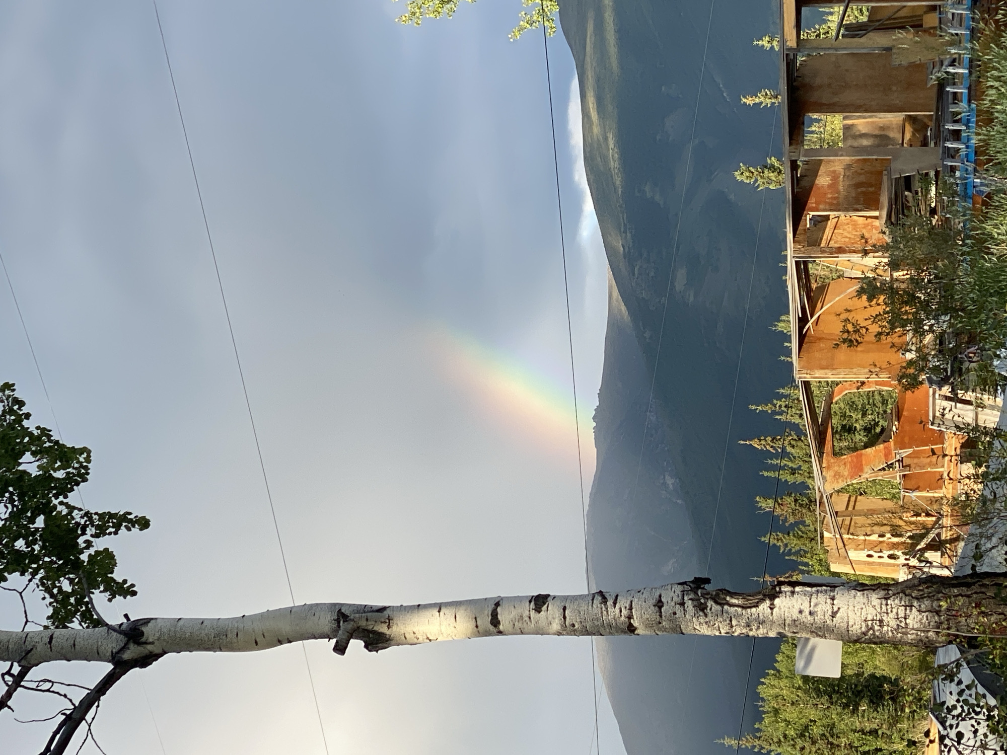 In Haines Junction, Canada, an outdoor scene unfolds under a sky transitioning from bright daylight to overcast conditions, as evidenced by a visible rainbow arcing across a misty mountain range. A prominent, white-barked birch tree stands in the left foreground, its trunk textured with dark markings and its branches adorned with green leaves. Power lines are strung across the upper portion of the frame. In the middle ground, the skeletal remains of a wooden structure, possibly an old RV or mobile home, are visible. The structure is partially disassembled, revealing an orange-toned interior and the wooden framing. Behind this structure, a dense forest of evergreen trees stretches towards the rolling, green-covered mountains. The lighting suggests either early morning or late afternoon, with the sun casting a glow on the scene. There are no people or animals present in the image.